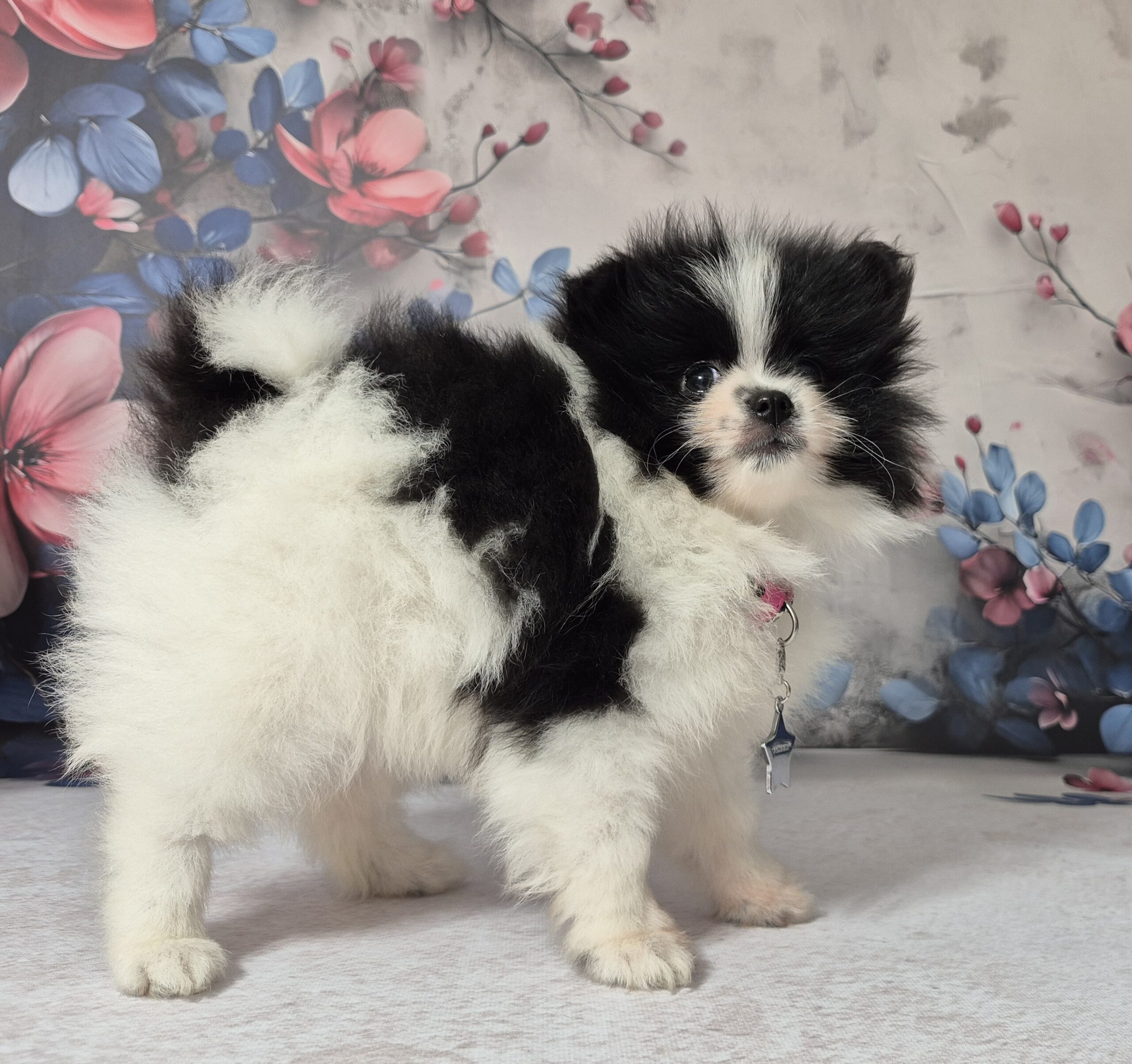 20250113 113414 resized