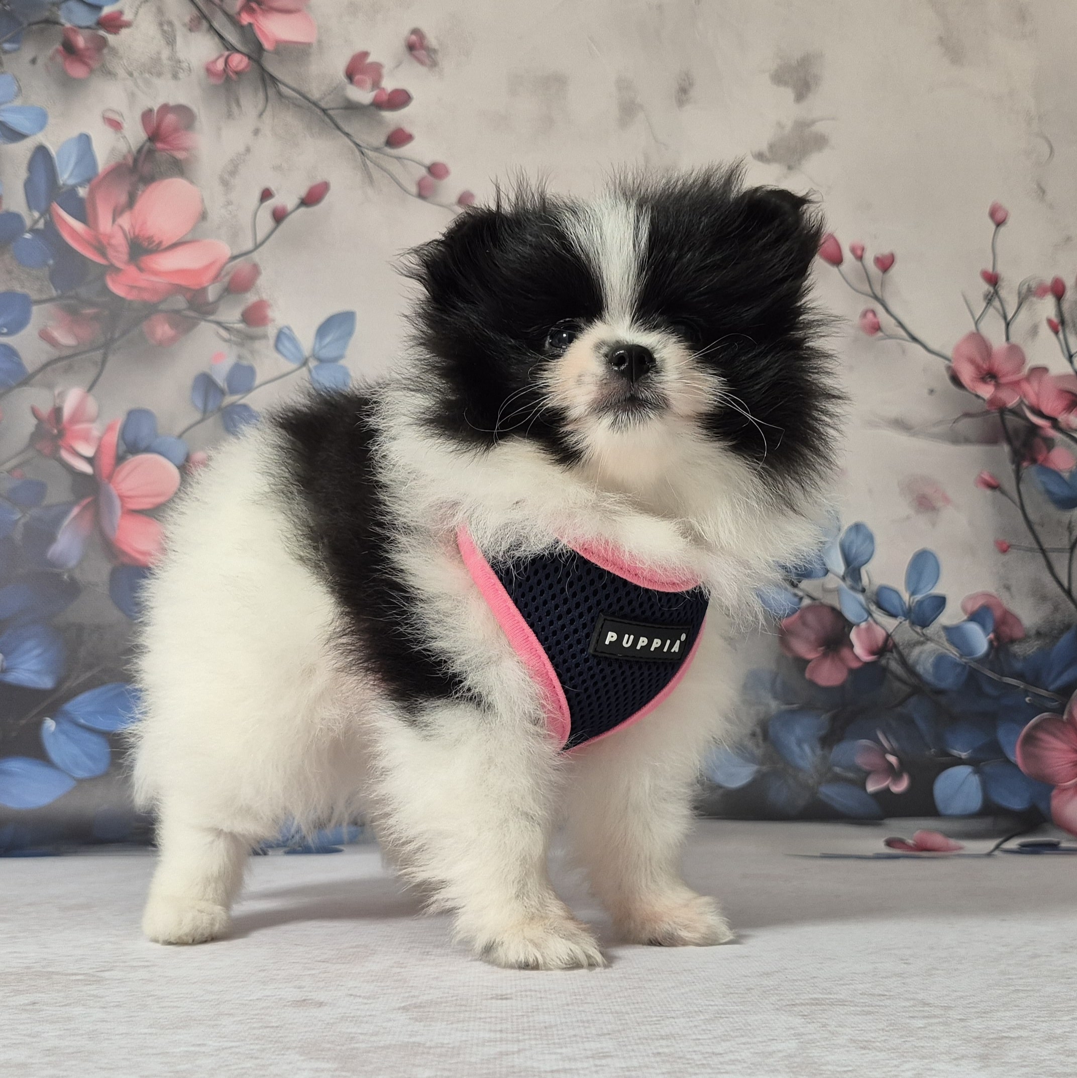 20250113 113656(0) resized