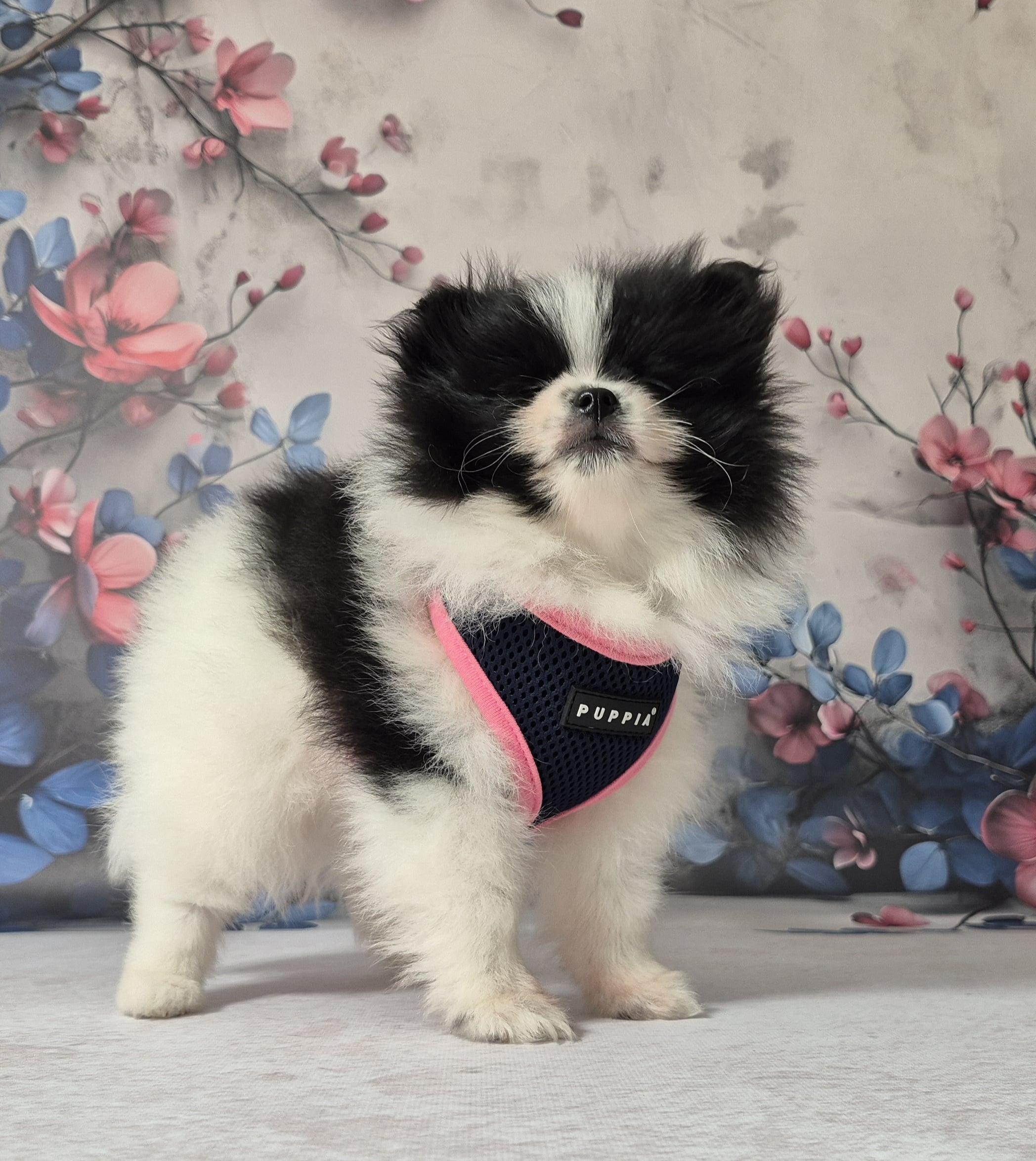 20250113 113656 resized