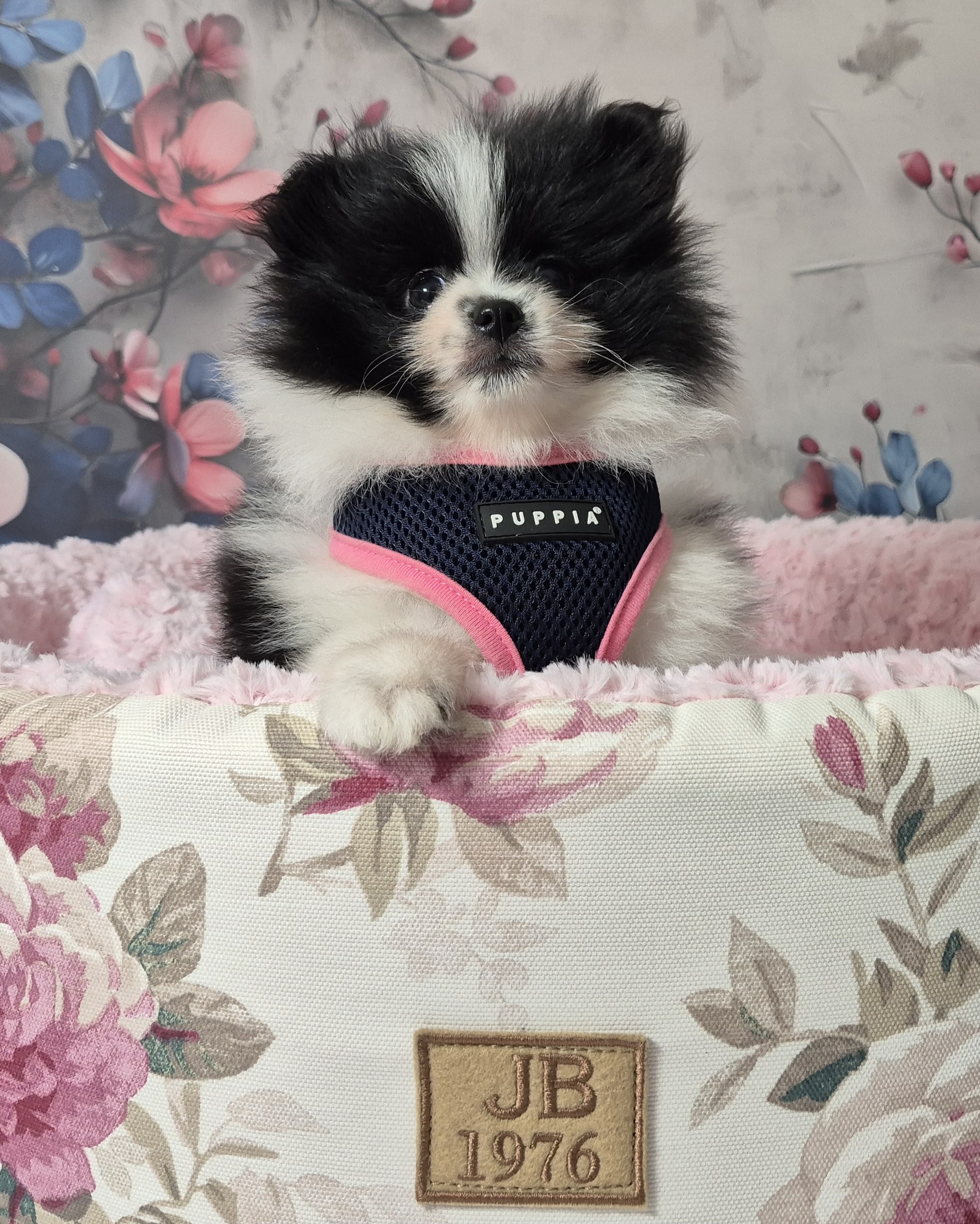 20250113 113718(0) resized