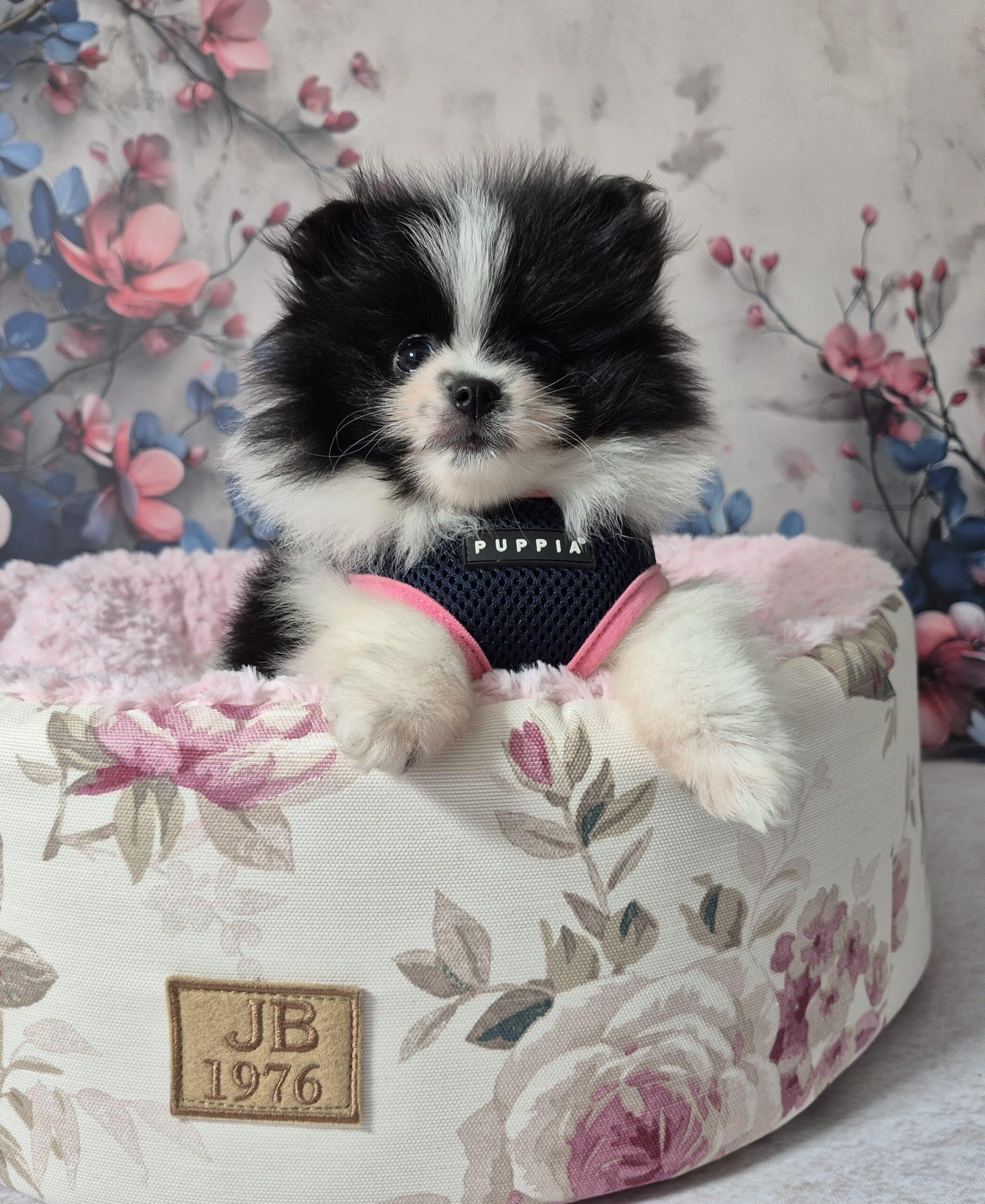 20250113 114251(0) resized