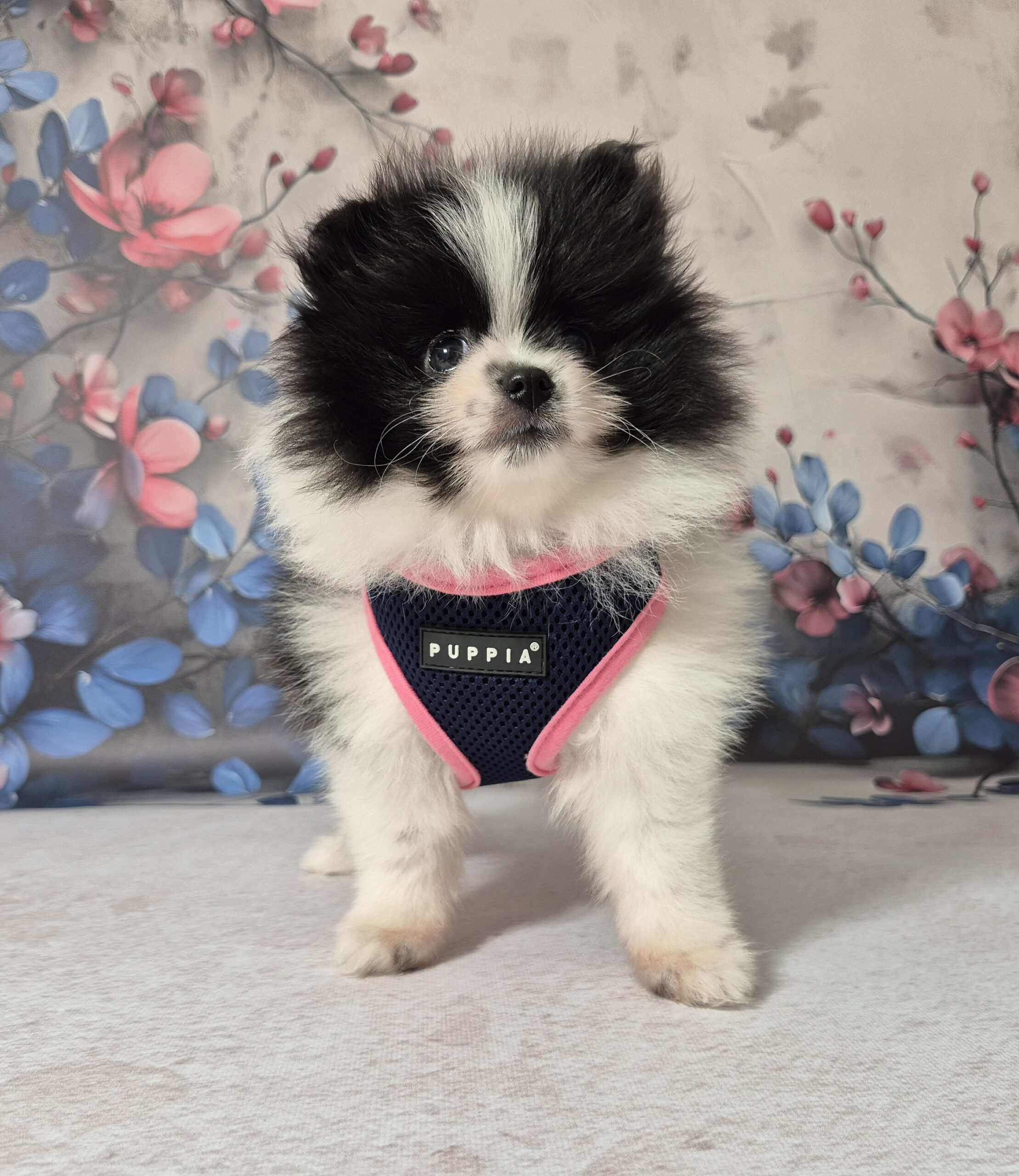 20250113 114404 resized