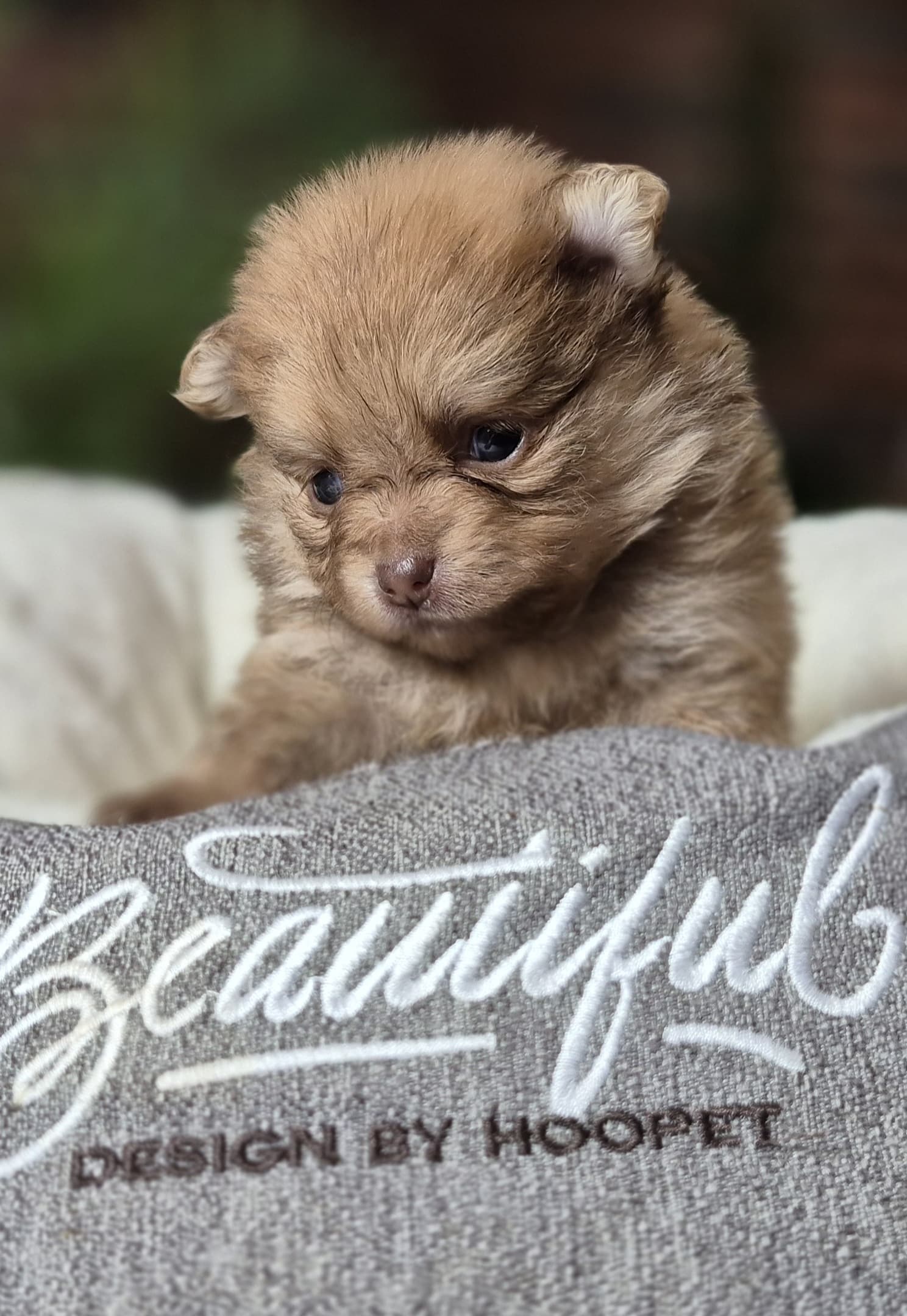 20250205 061126 resized