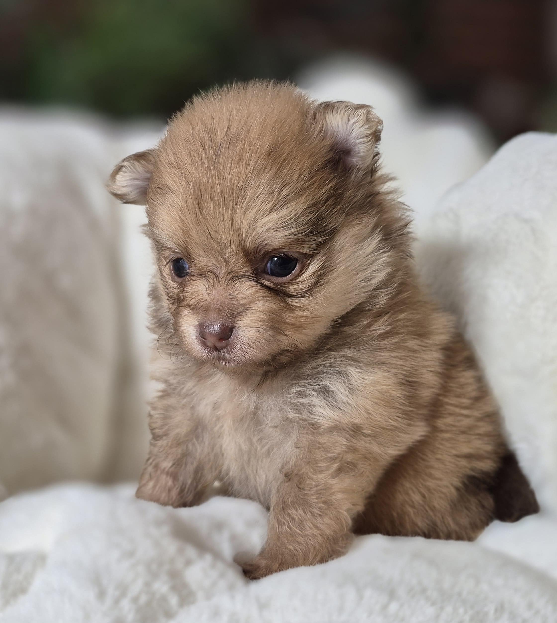 20250205 061309(0) resized