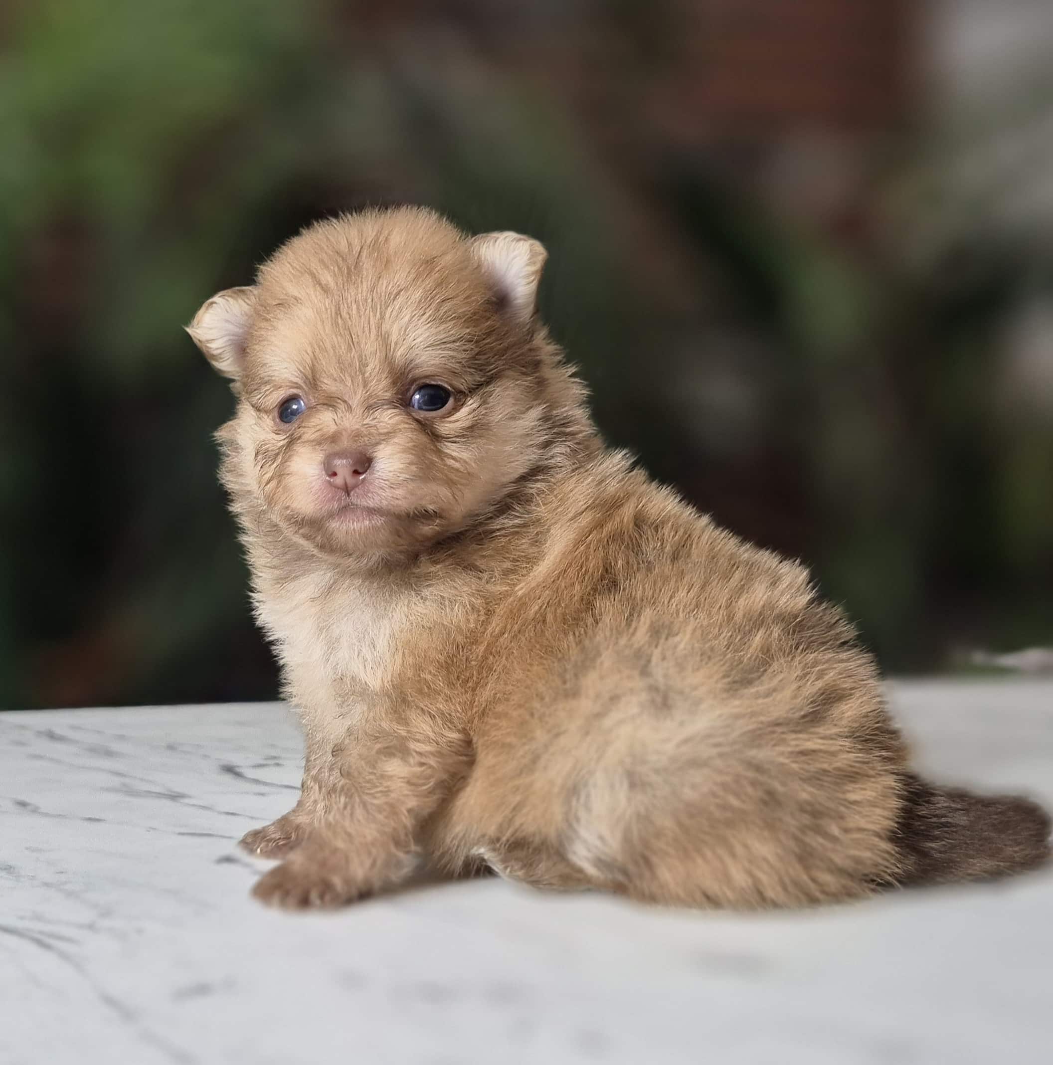 20250205 061537 resized