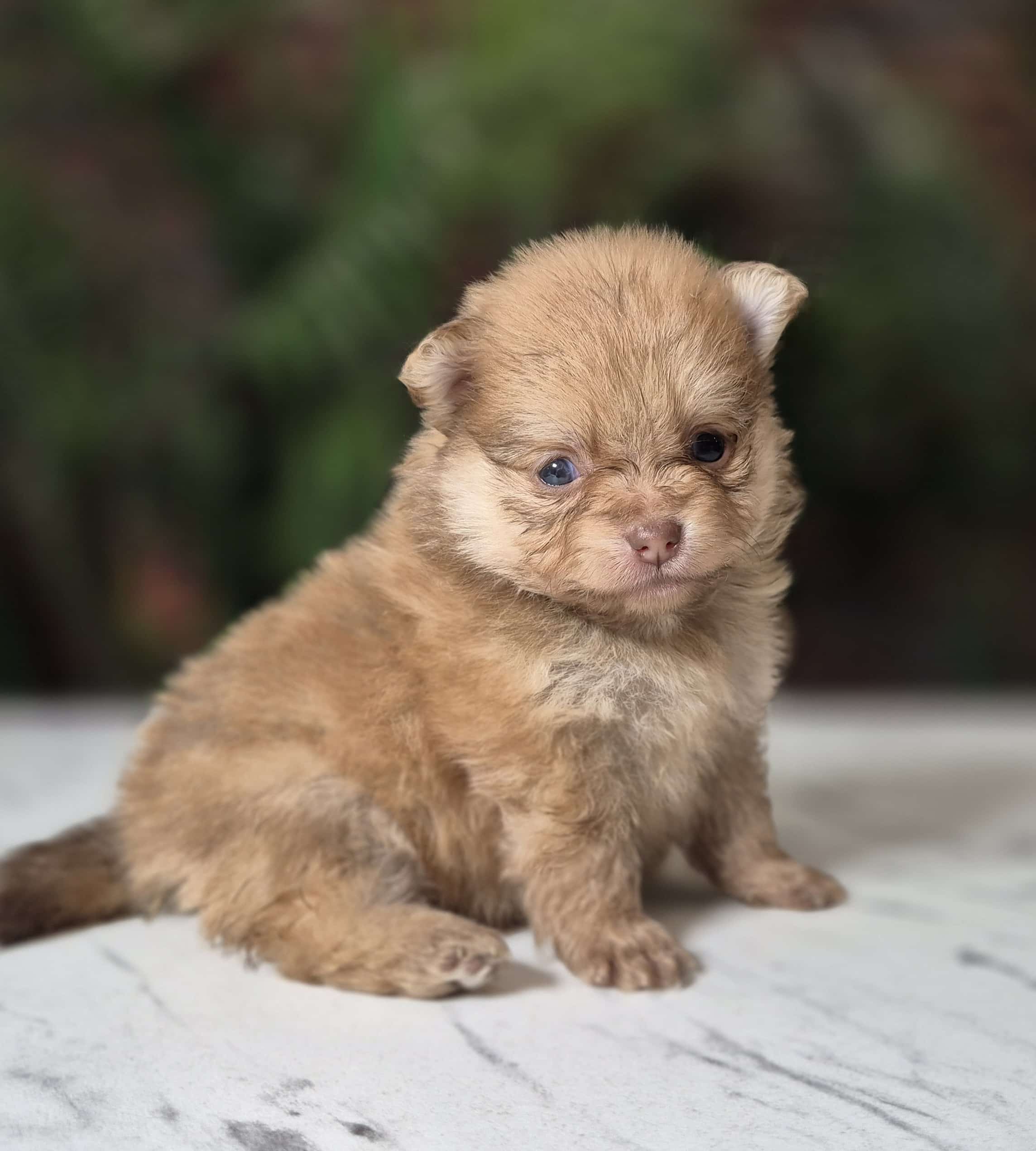 20250205 061615 resized