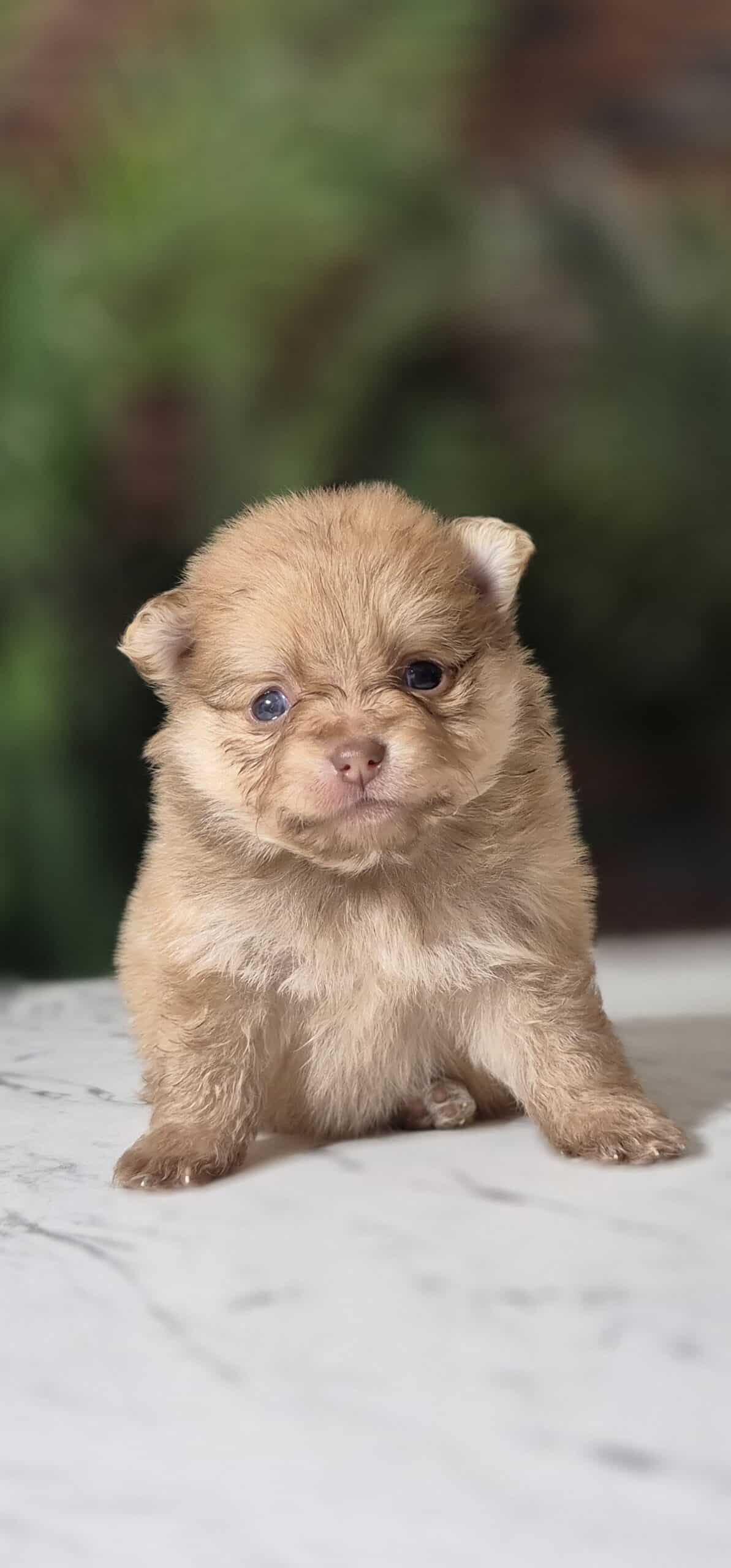 20250205 061802(0) resized