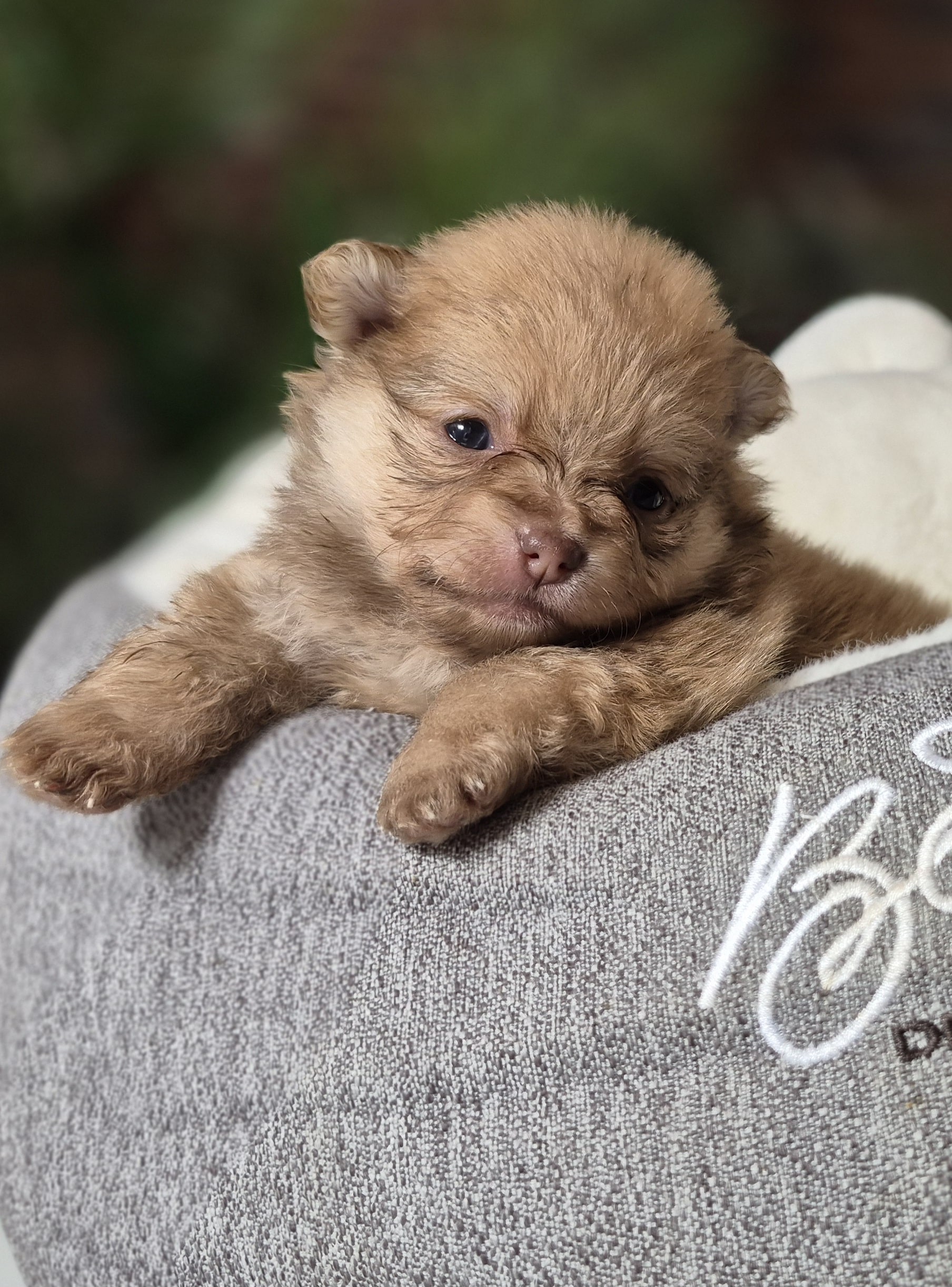 20250205 061855 resized