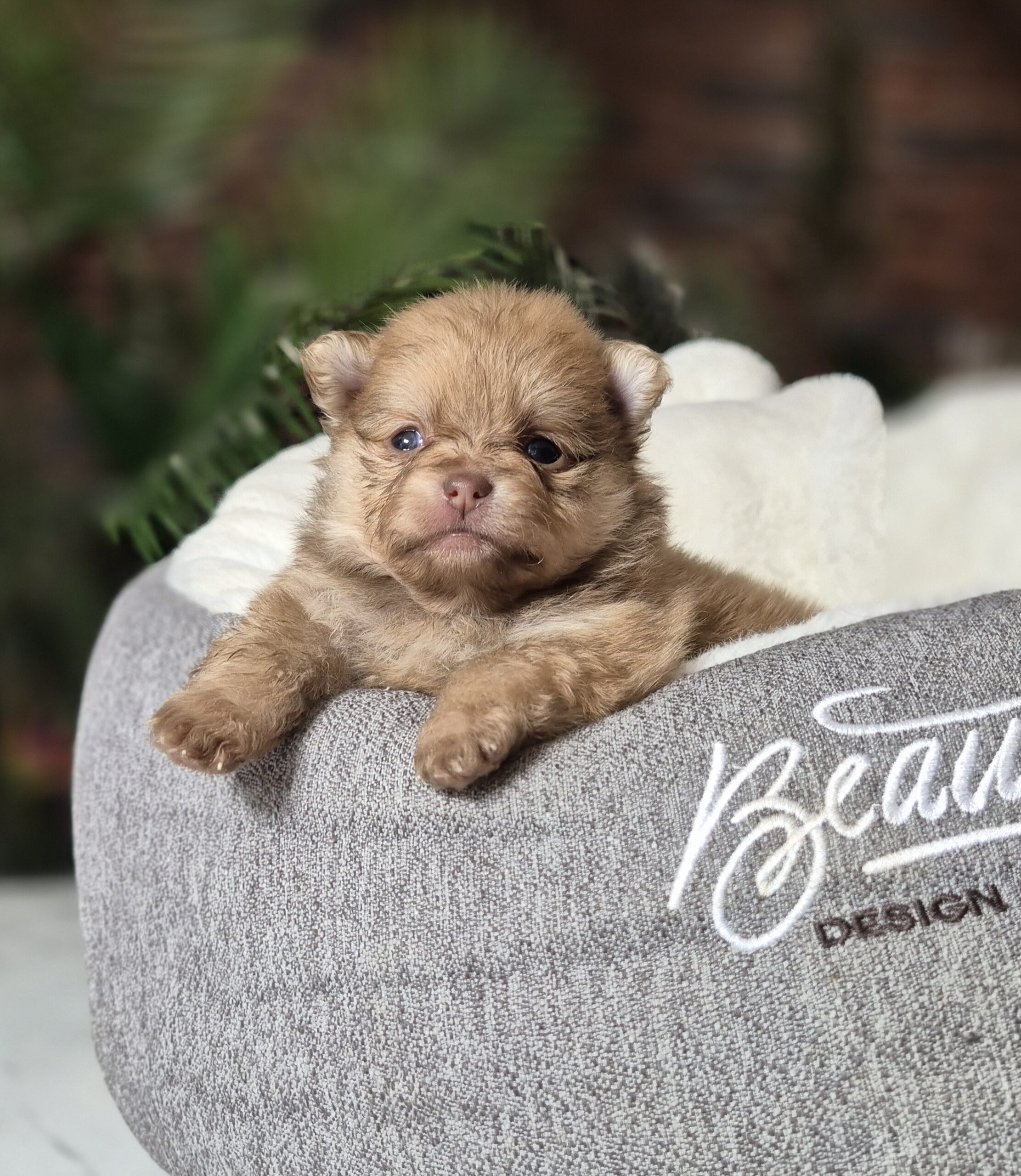 20250205 061900 resized