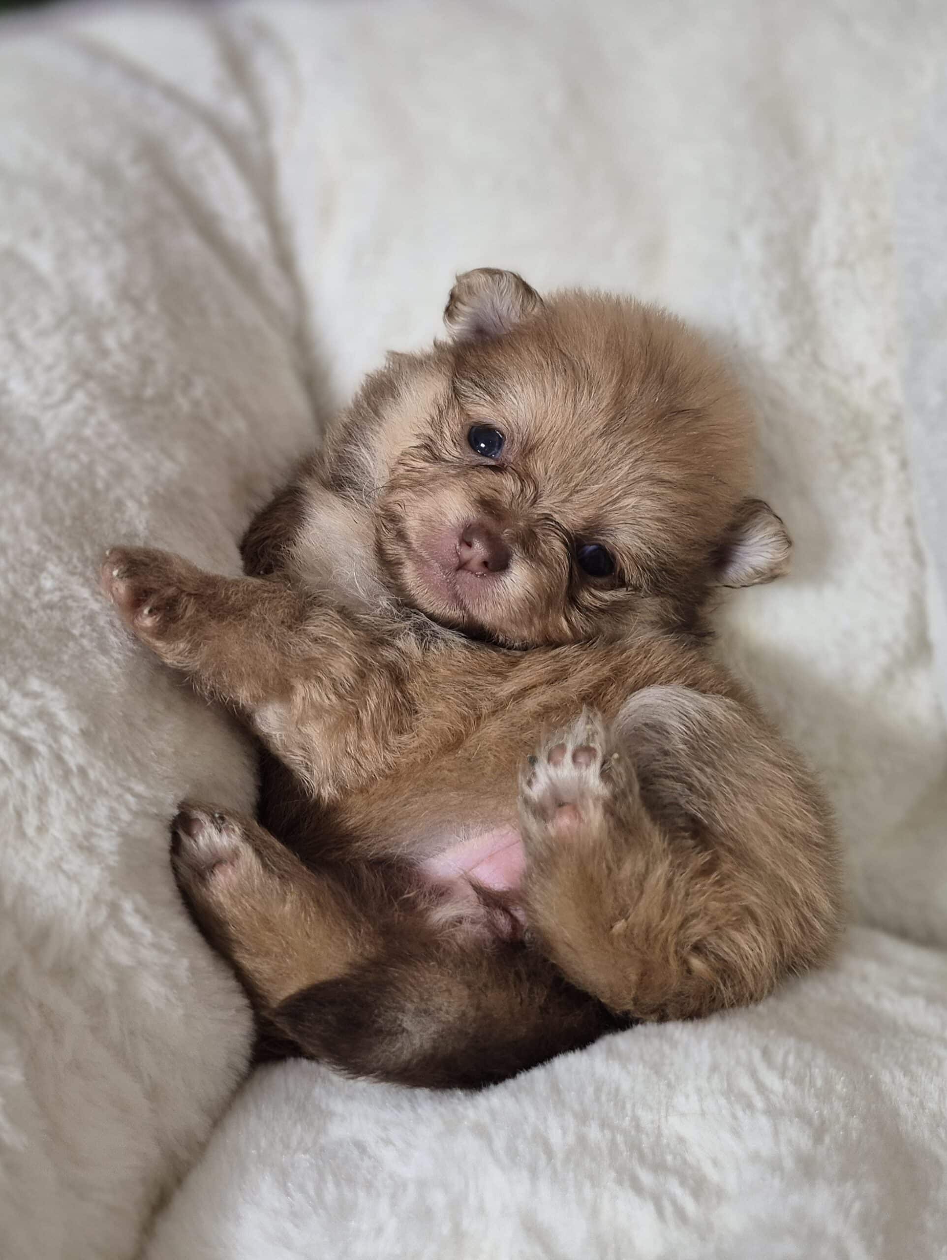 20250205 062103(0) resized