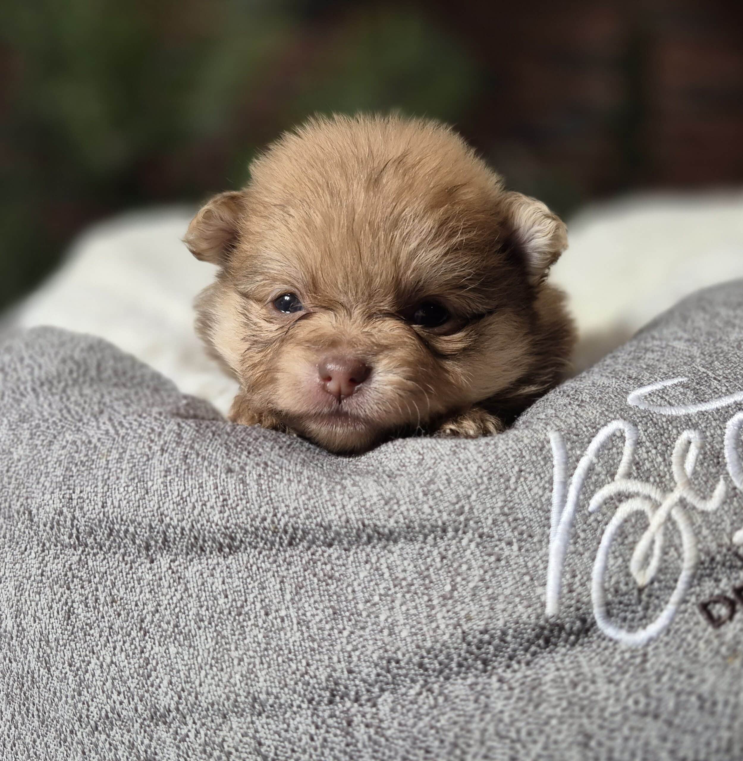 20250205 062259(0) resized