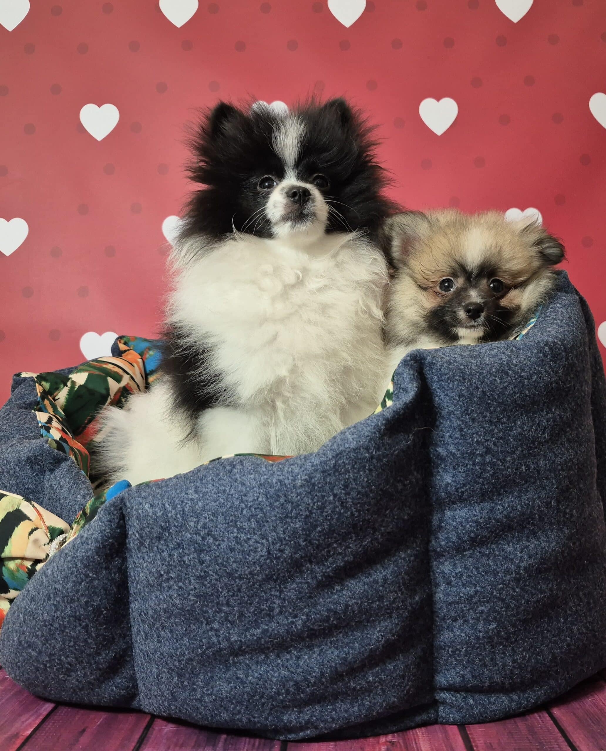 20250303 081520 062 saved resized