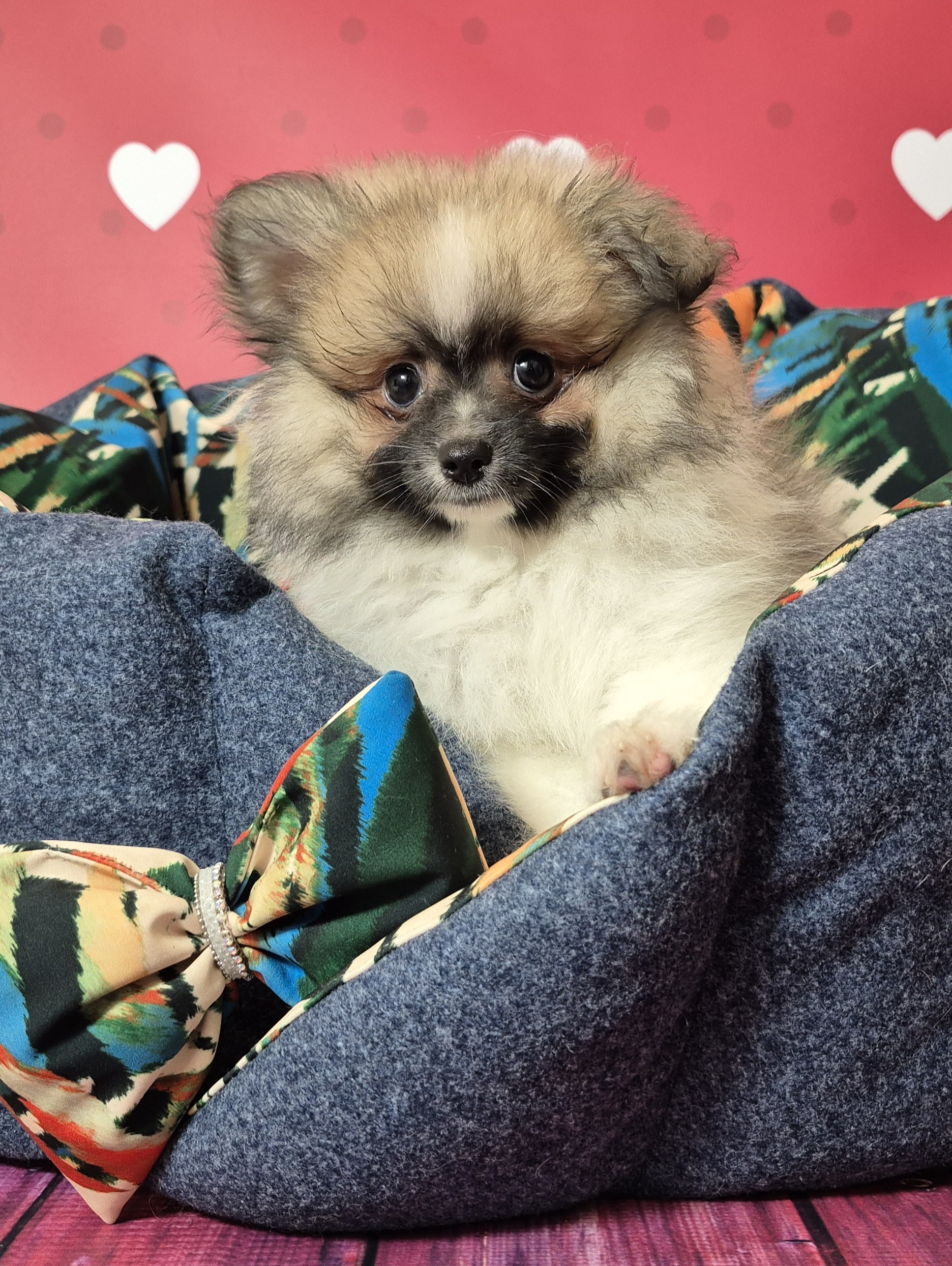 20250303 081604 resized