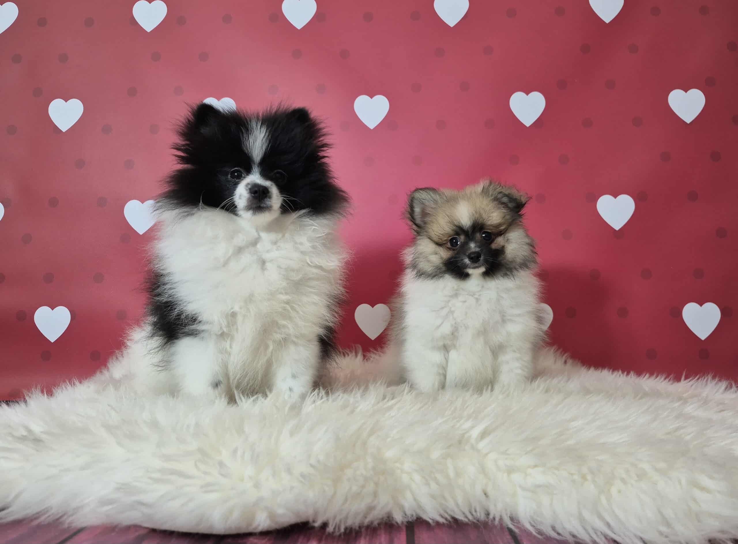 20250303 081854 068 saved