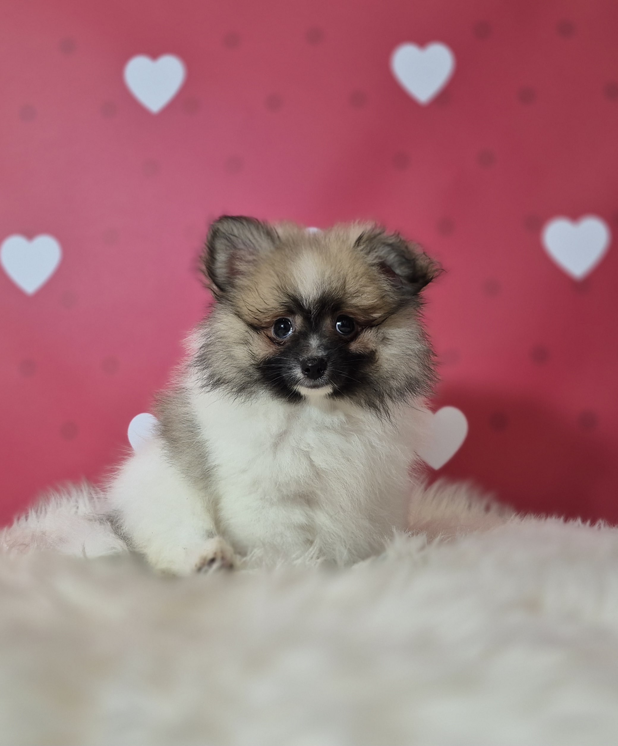 20250303 082135 resized