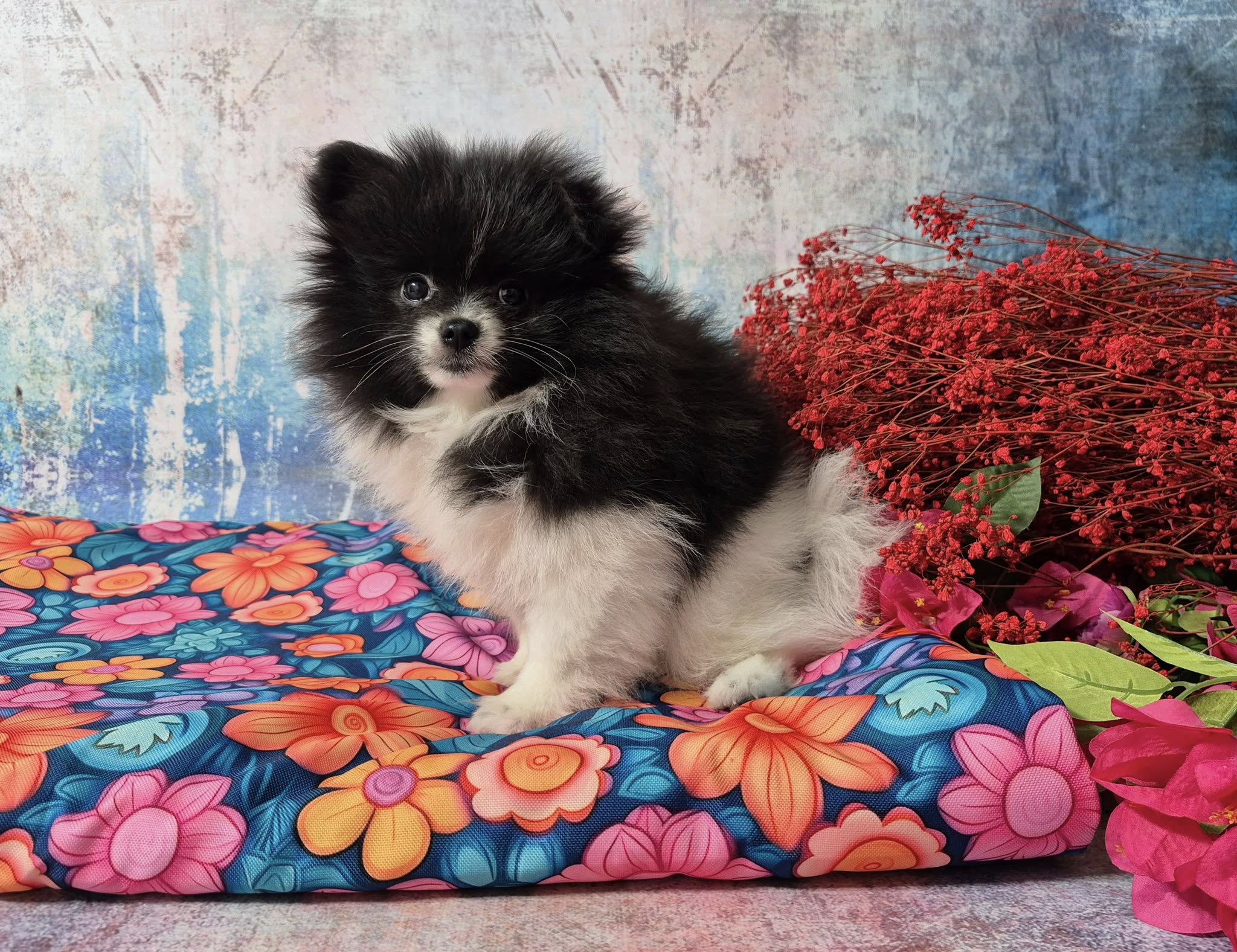 471801474 122132208200459761 5219772225491955073 n