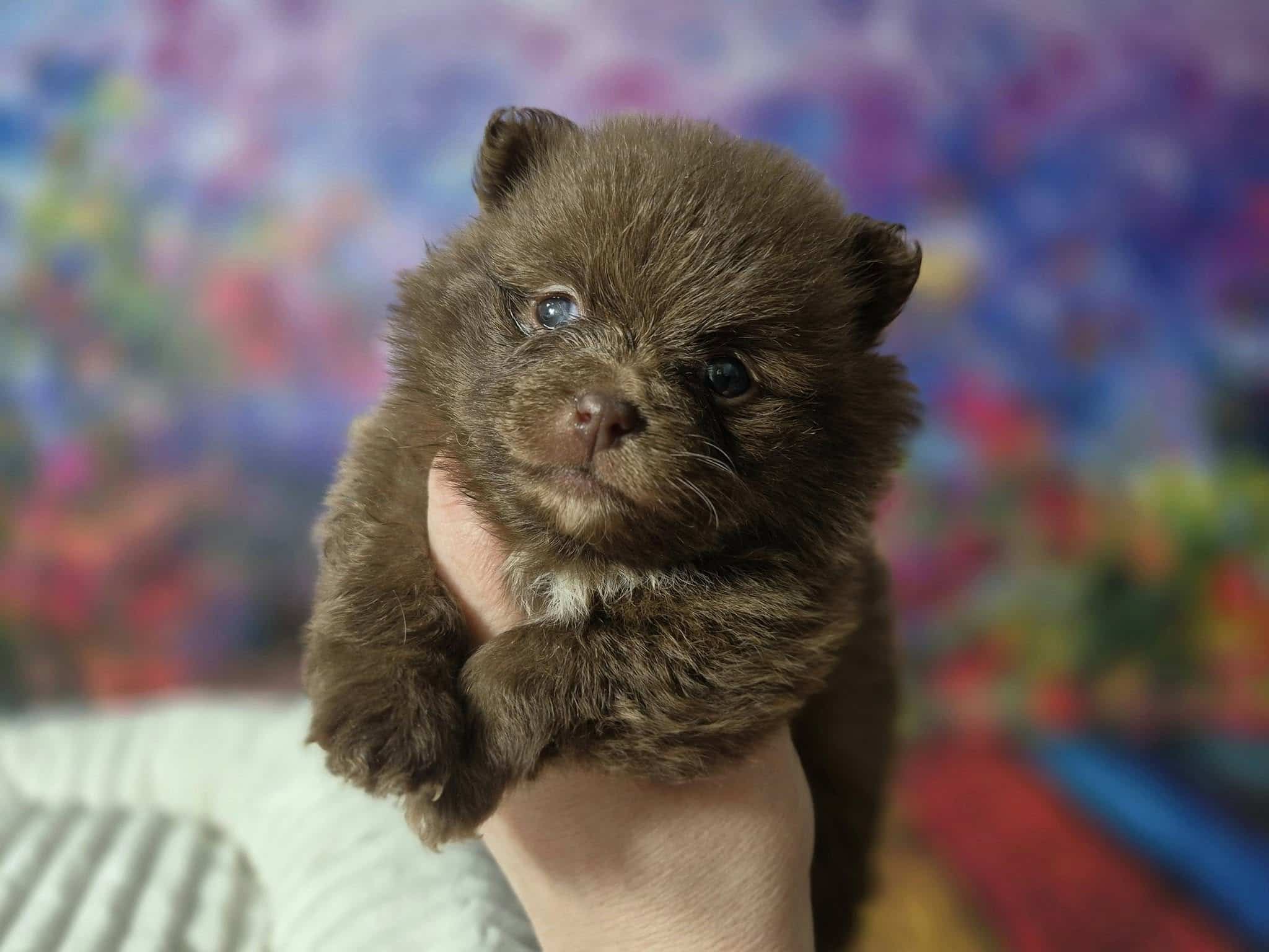 476611936 122138262854459761 661202965795398746 n