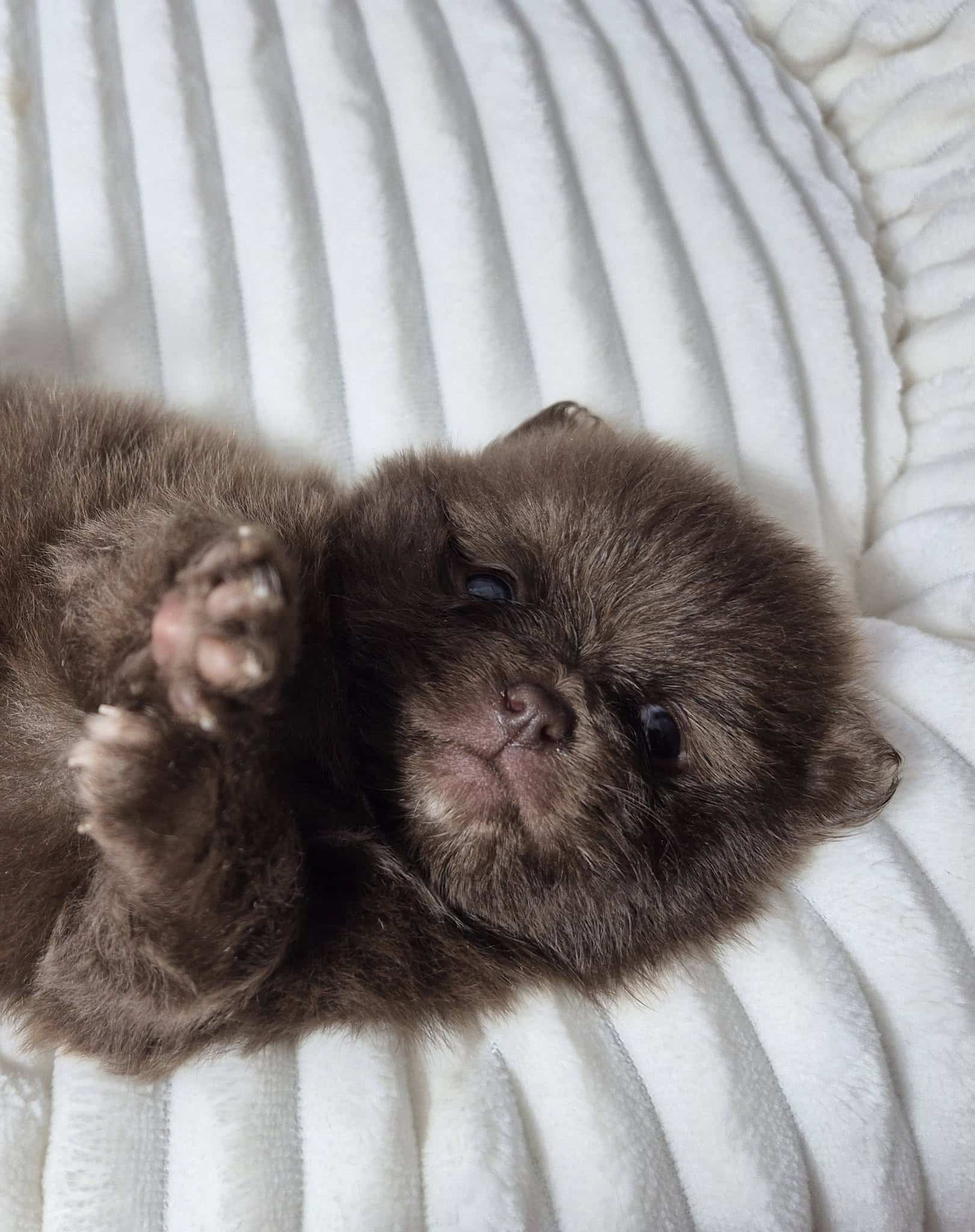 476651864 122138262884459761 1722995012238183665 n