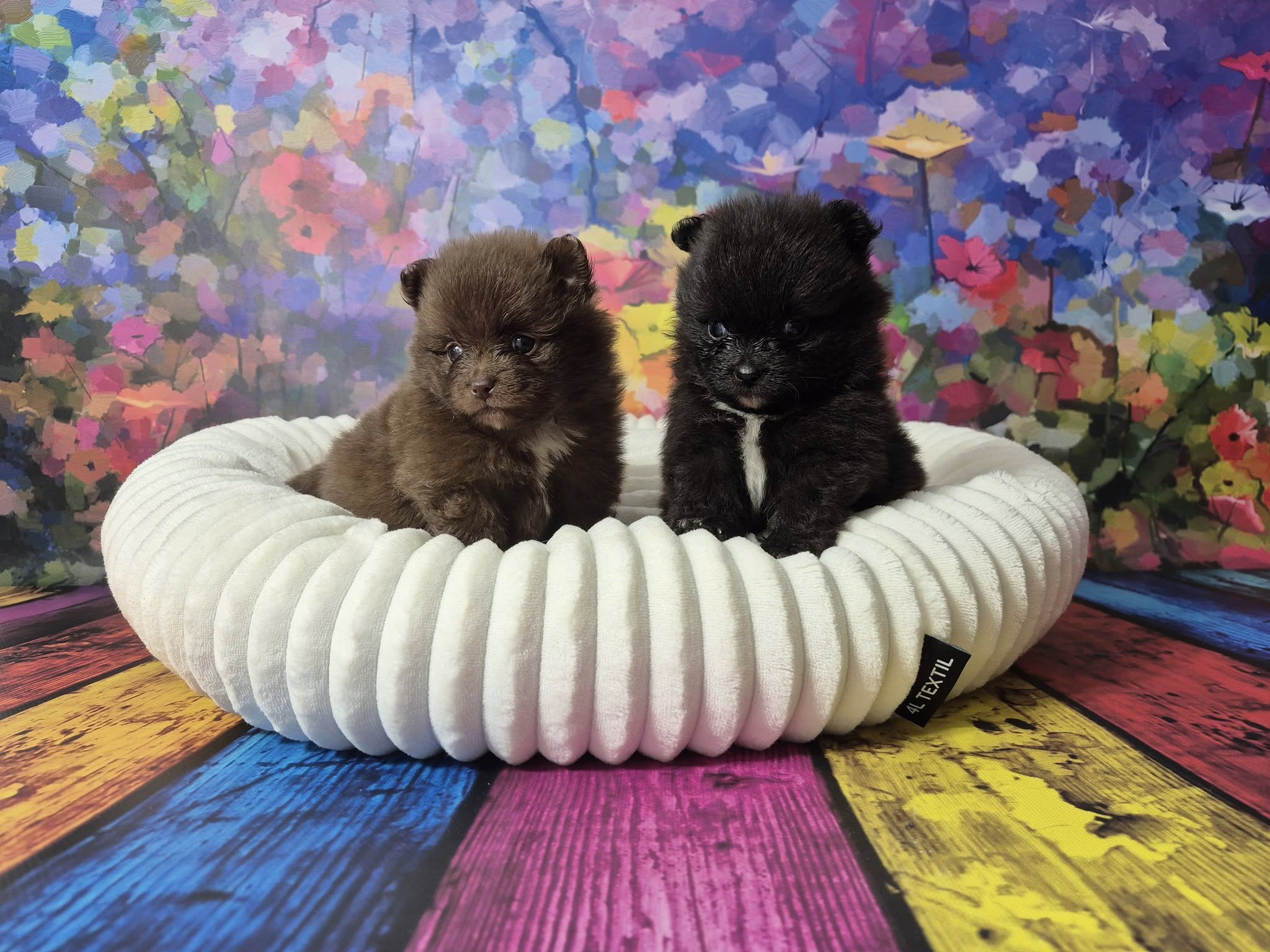 476674415 122138265554459761 4436282474613534138 n