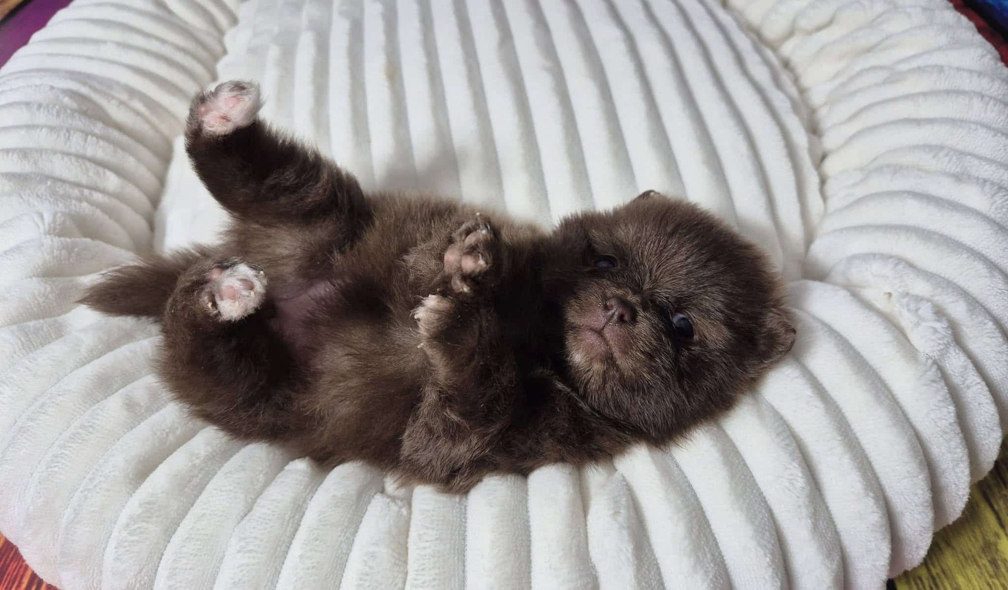 476839574 122138262824459761 7734862289520527197 n