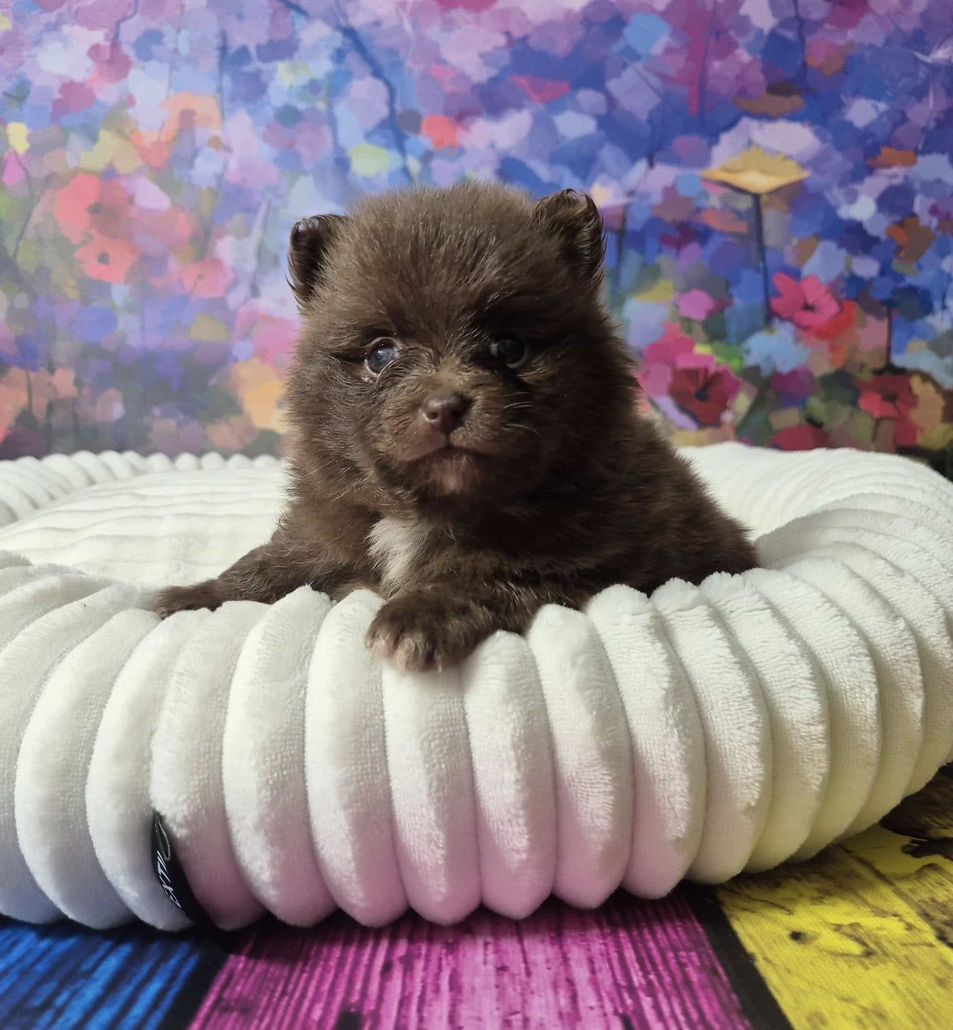 476974905 122138262770459761 2312739022283714258 n