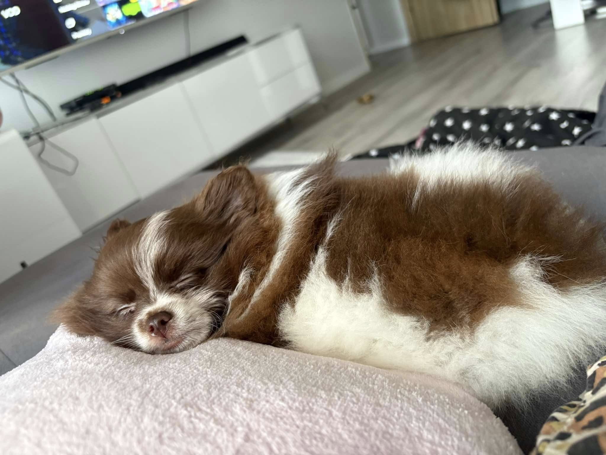 480159064 122139372734459761 883095160836925595 n