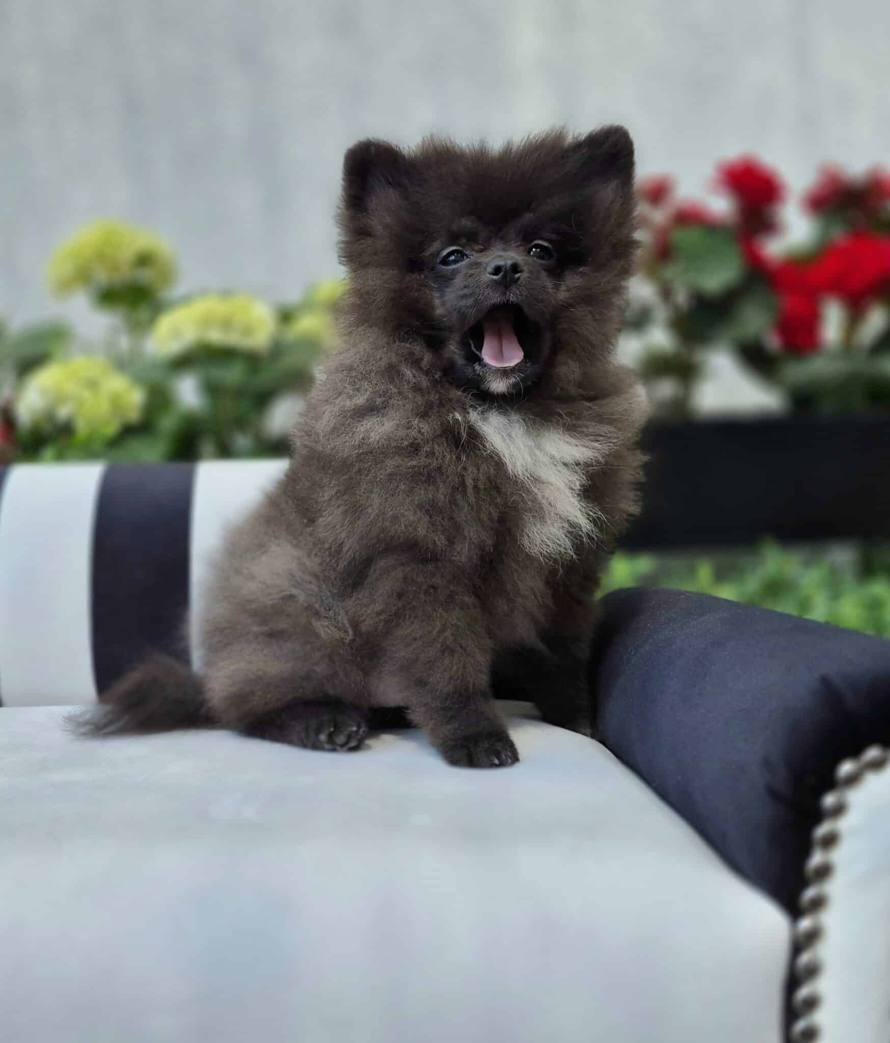 20250501 1406240 resized