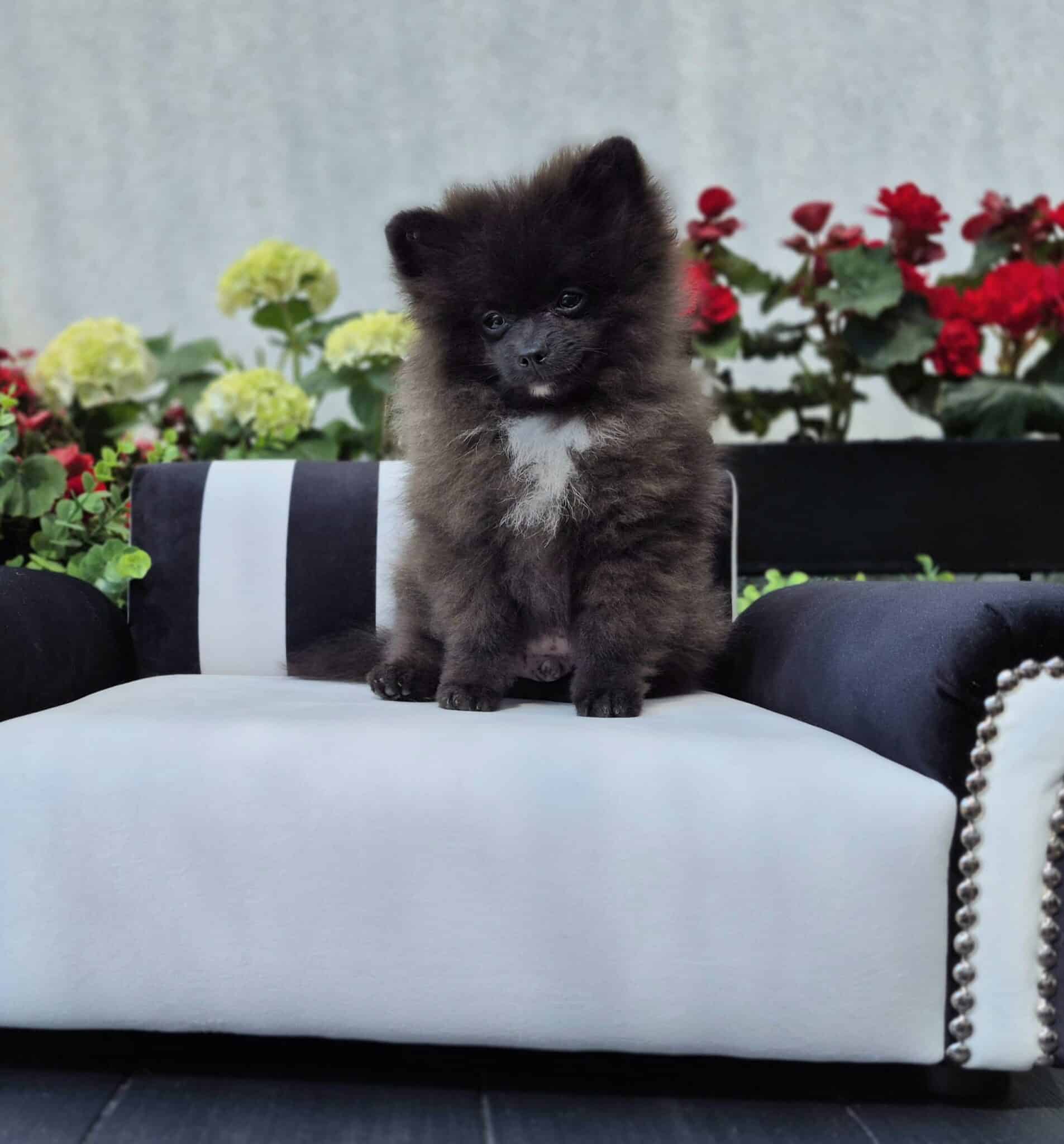 20250501 140803 resized