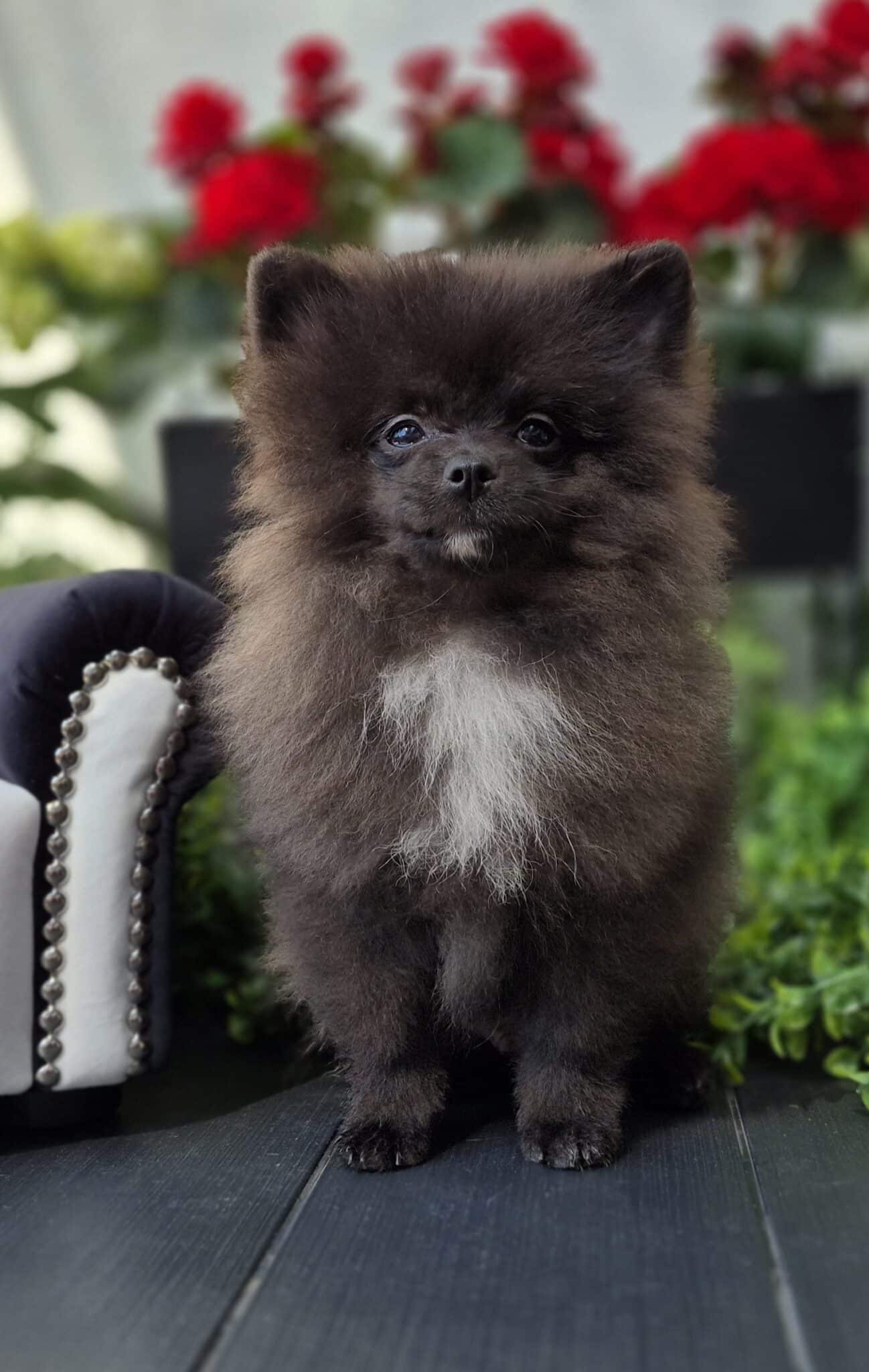 20250501 144012 resized