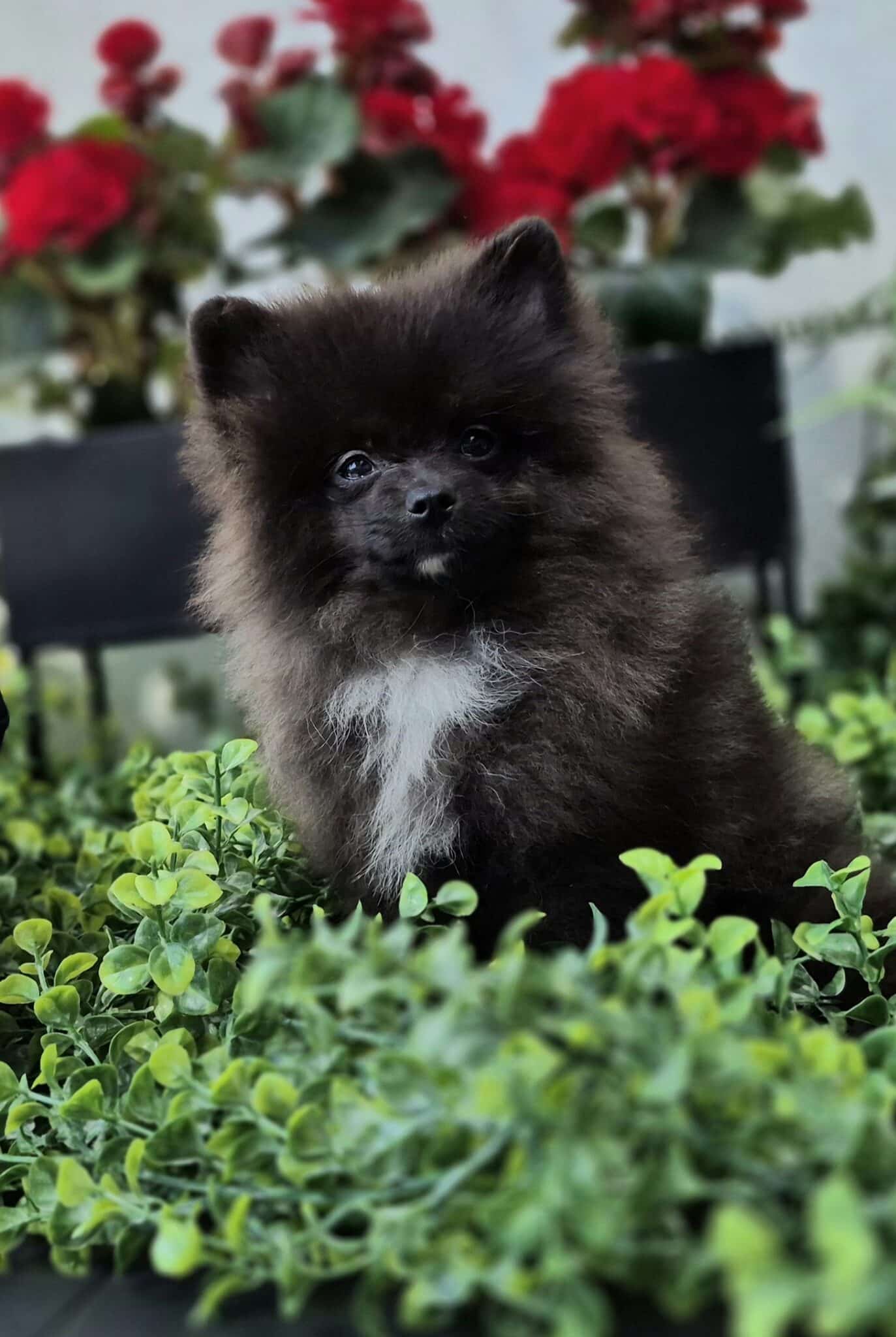 20250501 144159 resized