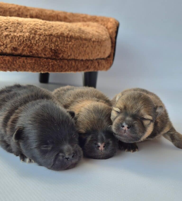 20250622 140624 resized