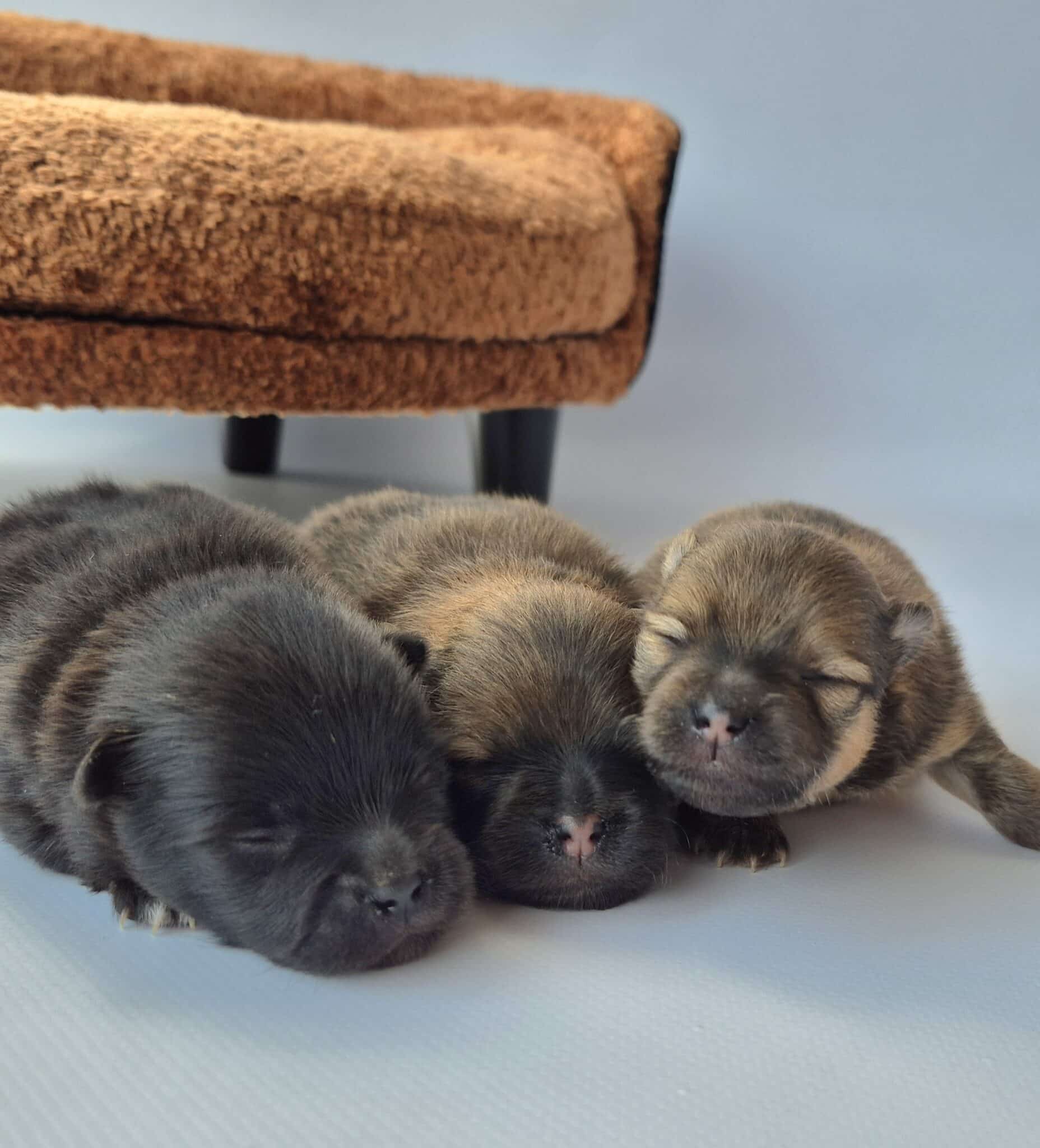 20250622 140624 resized