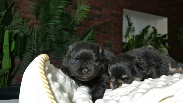 WhatsApp Image 2026-01-17 at 06.36.53 (2)