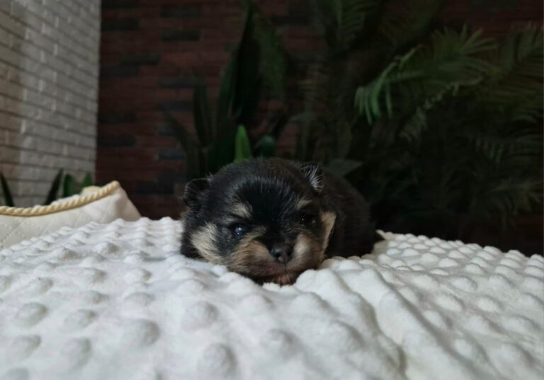 WhatsApp Image 2026-01-17 at 06.36.54 (2)