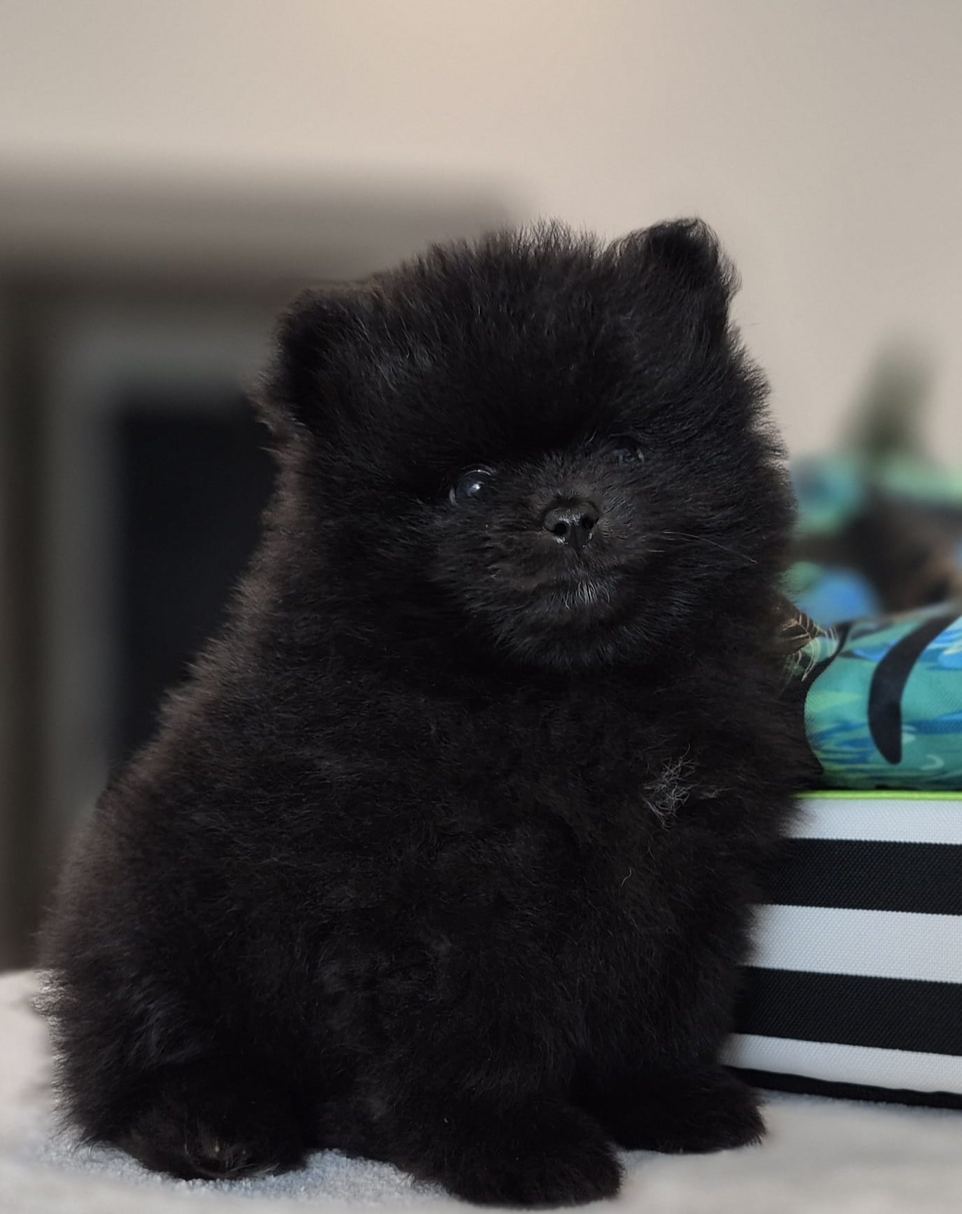 WhatsApp Image 2026-02-22 at 08.49.52 (1)