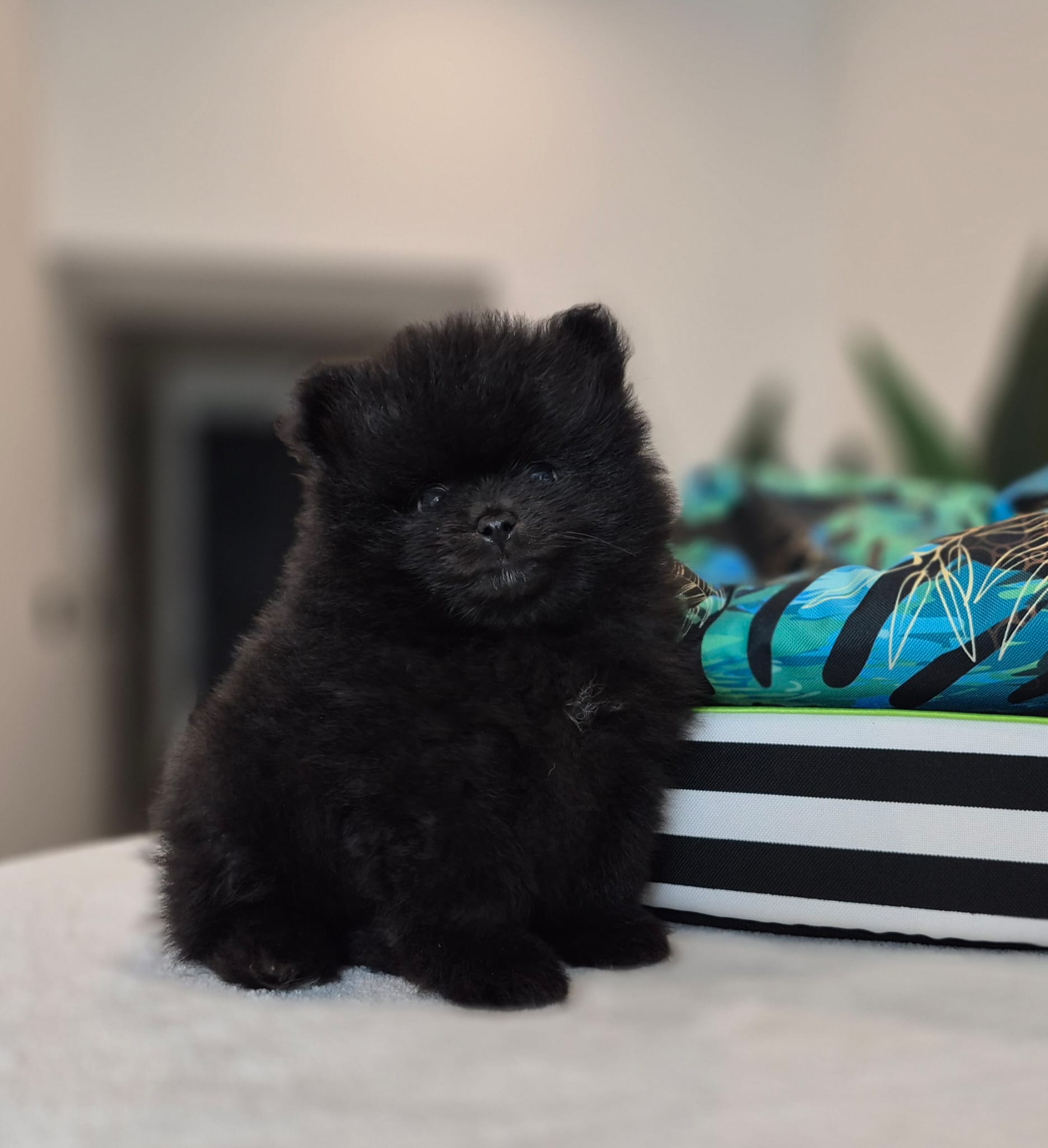 WhatsApp Image 2026-02-22 at 08.49.52