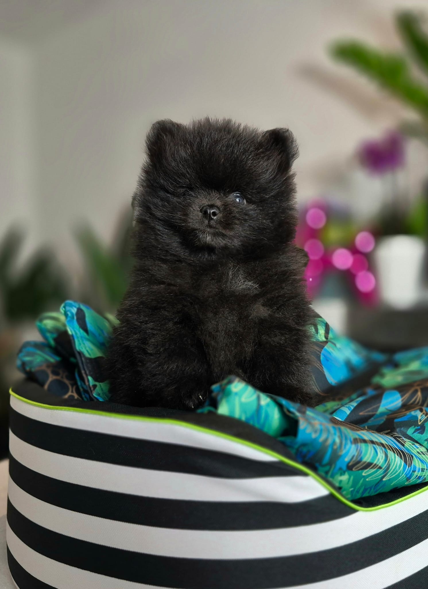 WhatsApp Image 2026-02-22 at 08.49.53 (2)