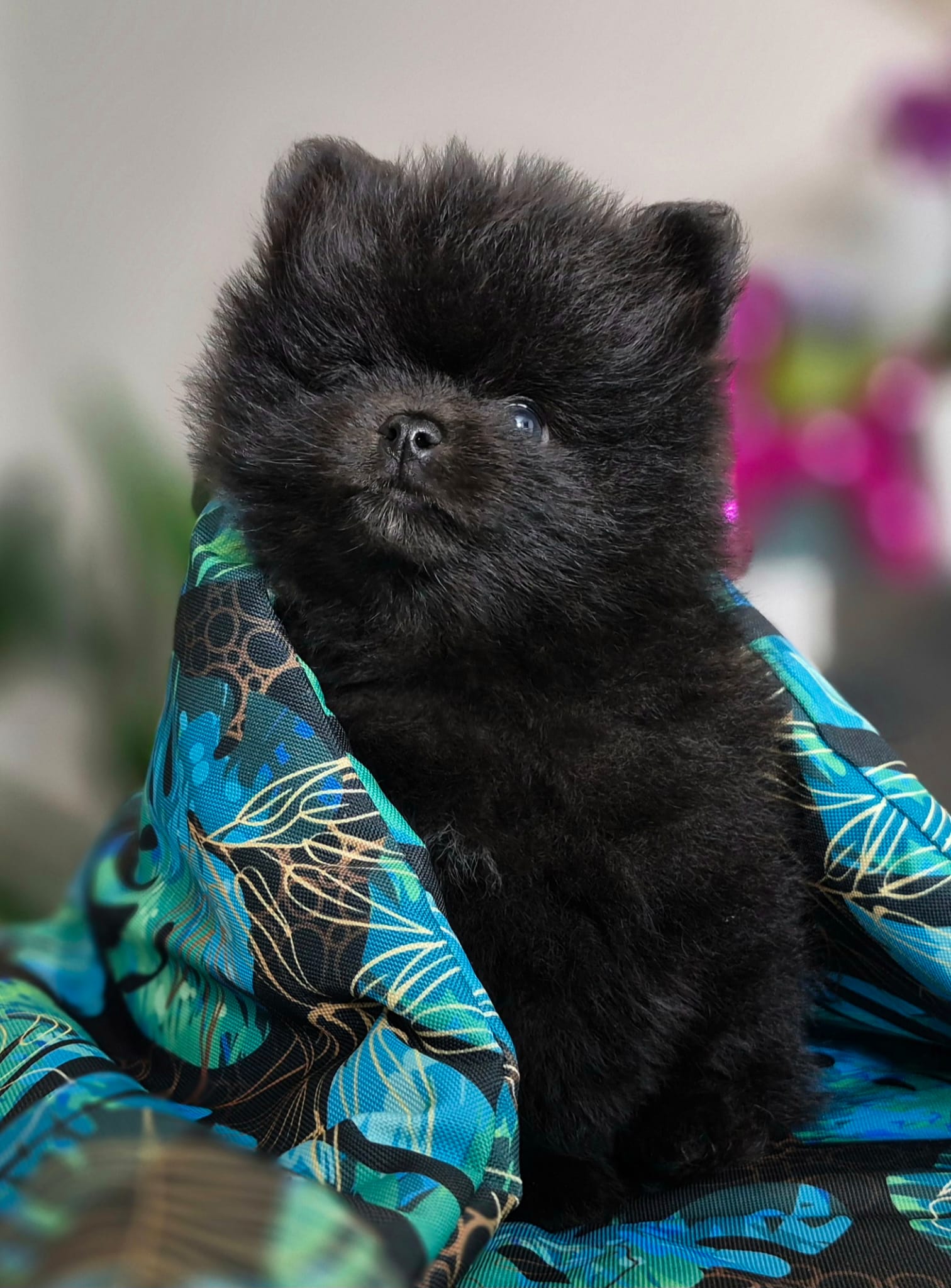 WhatsApp Image 2026-02-22 at 08.49.54 (1)