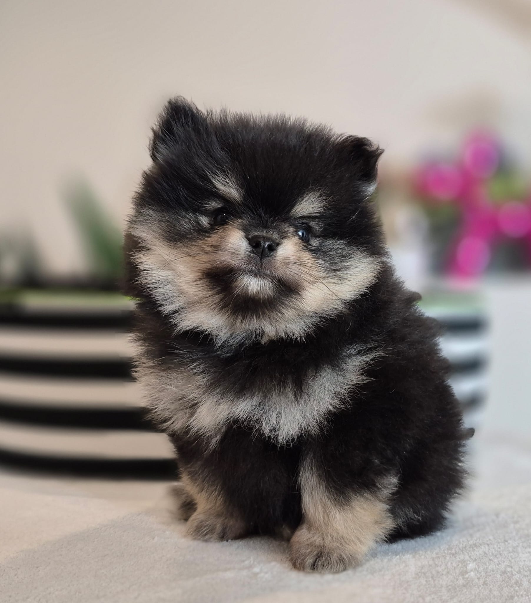 WhatsApp Image 2026-02-22 at 08.49.54 (2)