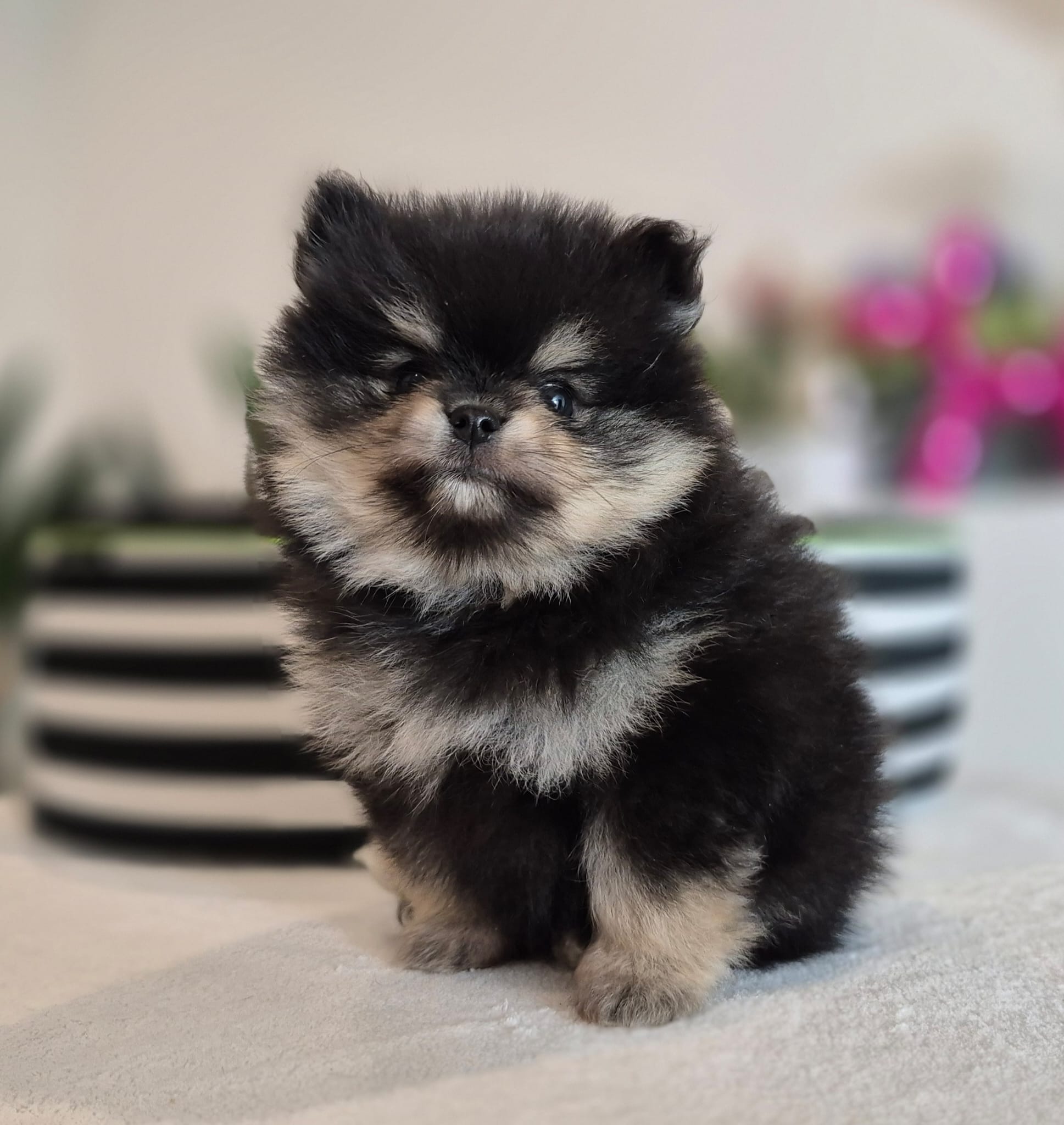 WhatsApp Image 2026-02-22 at 08.49.54 (3)