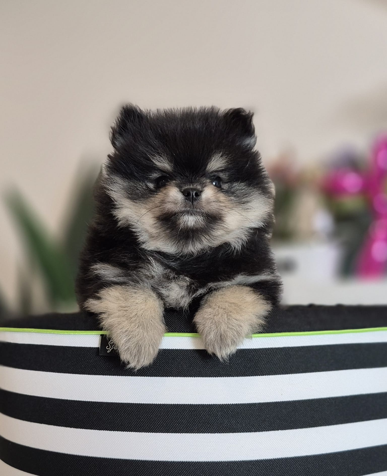 WhatsApp Image 2026-02-22 at 08.49.54 (5)