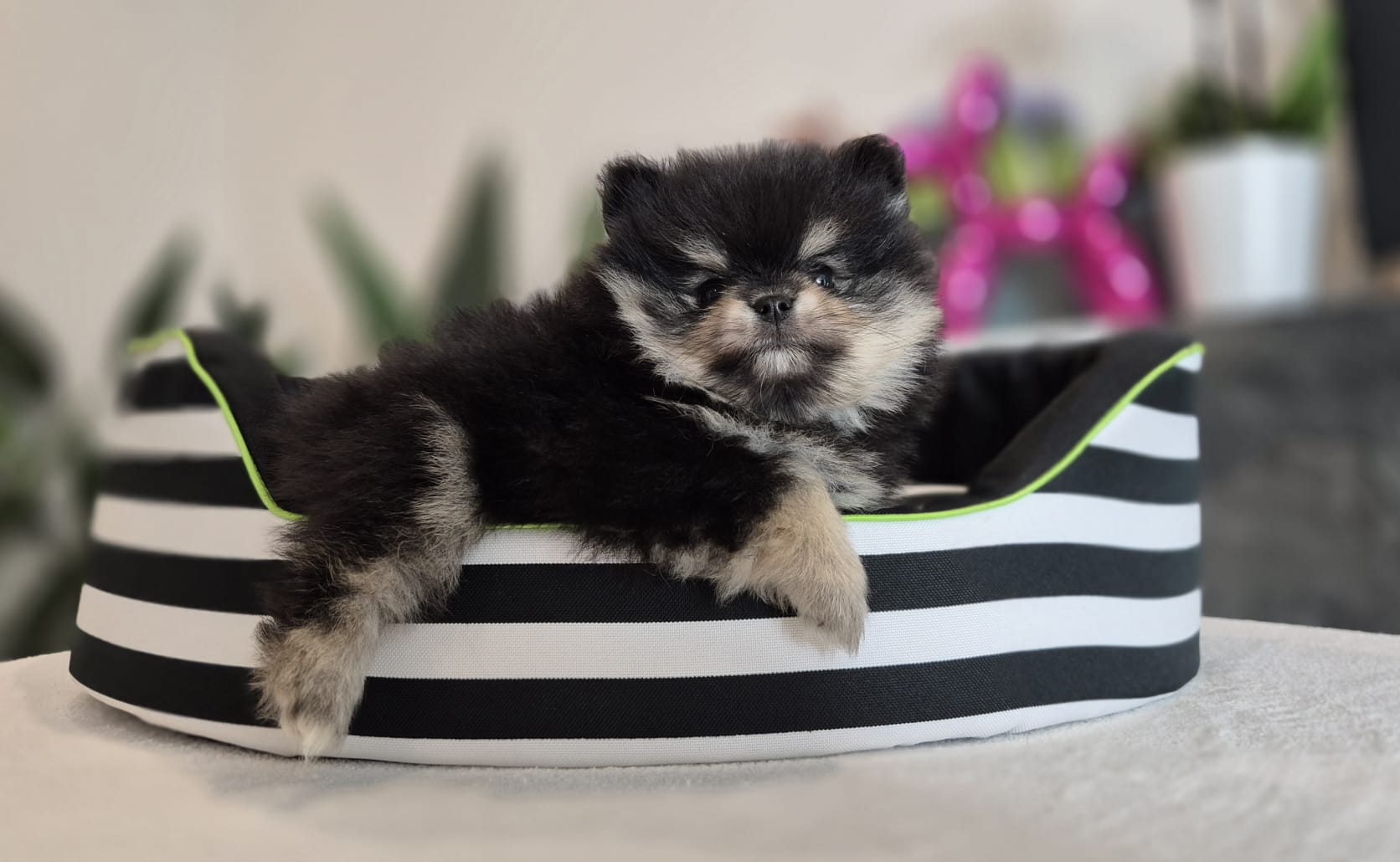 WhatsApp Image 2026-02-22 at 08.49.54 (6)