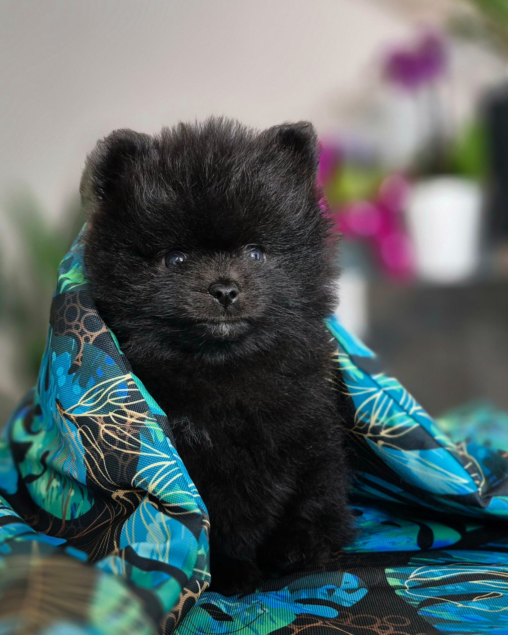 WhatsApp Image 2026-02-22 at 08.49.54