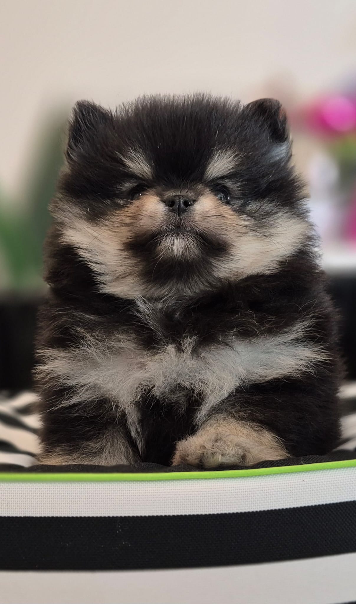 WhatsApp Image 2026-02-22 at 08.49.55 (1)