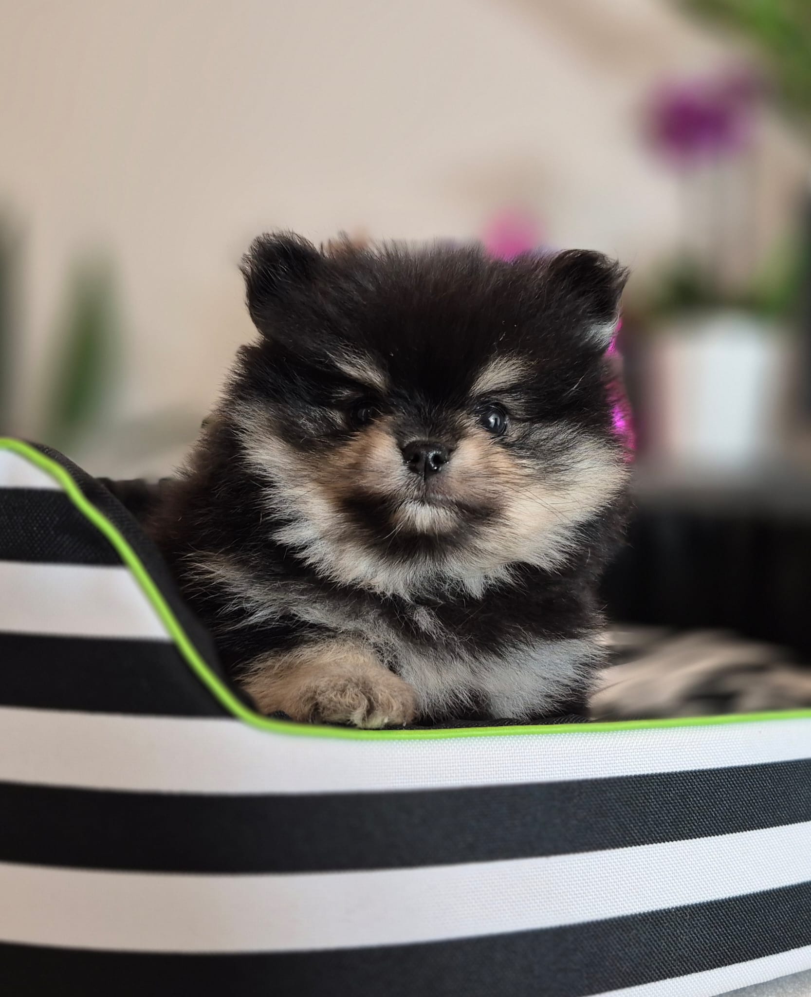 WhatsApp Image 2026-02-22 at 08.49.55