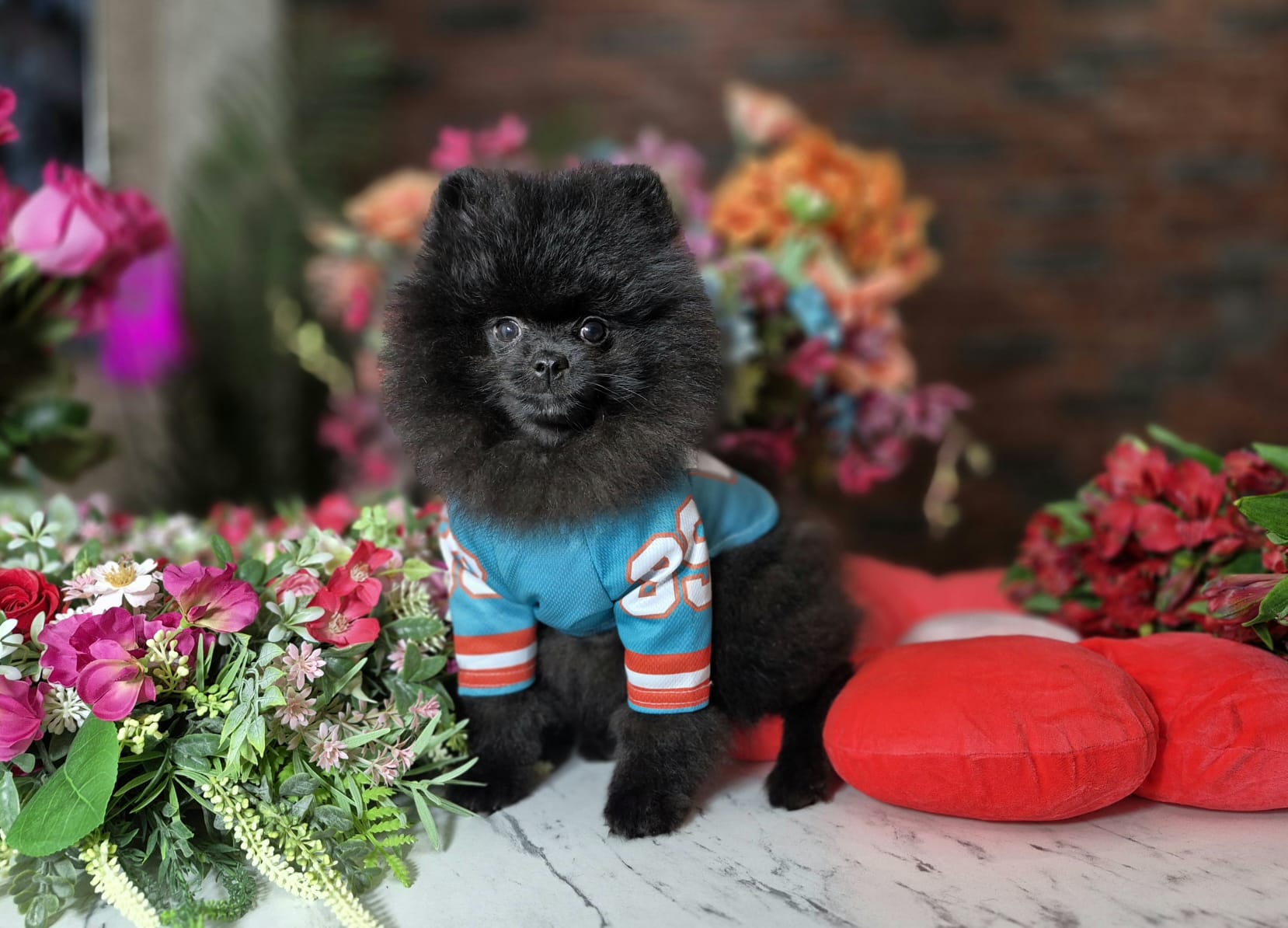 WhatsApp Image 2026-03-26 at 16.59.31 (1)