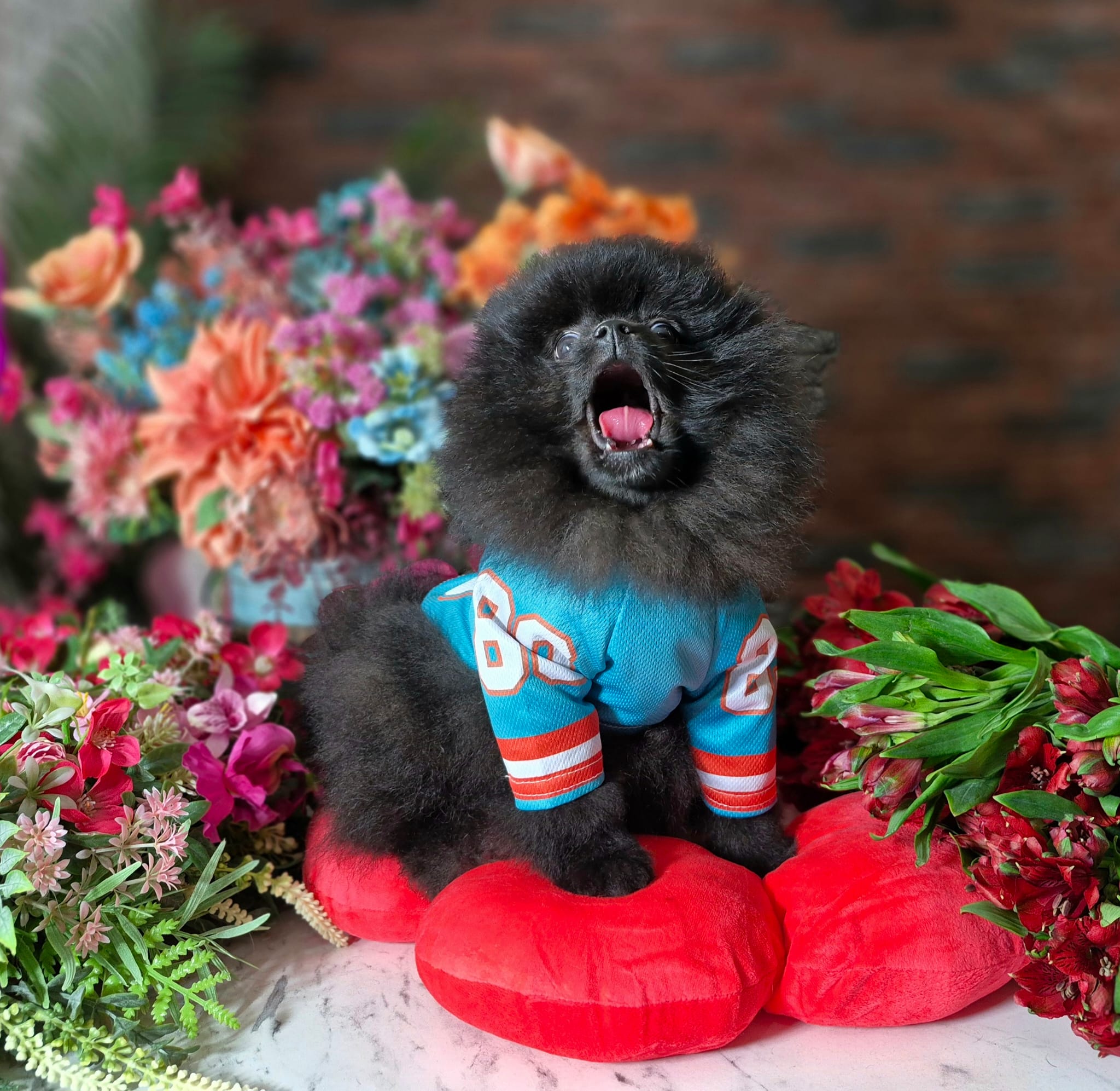 WhatsApp Image 2026-03-26 at 16.59.31 (2)