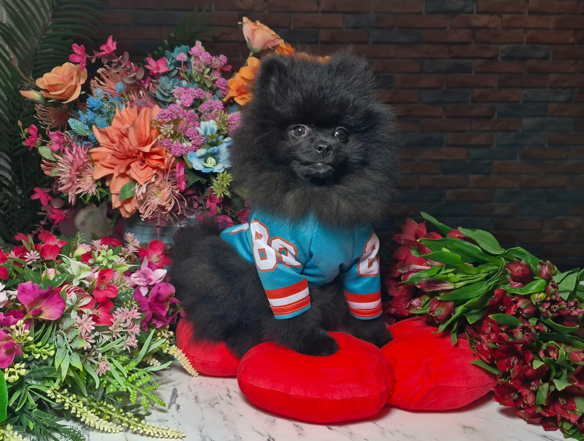 WhatsApp Image 2026-03-26 at 16.59.31 (3)