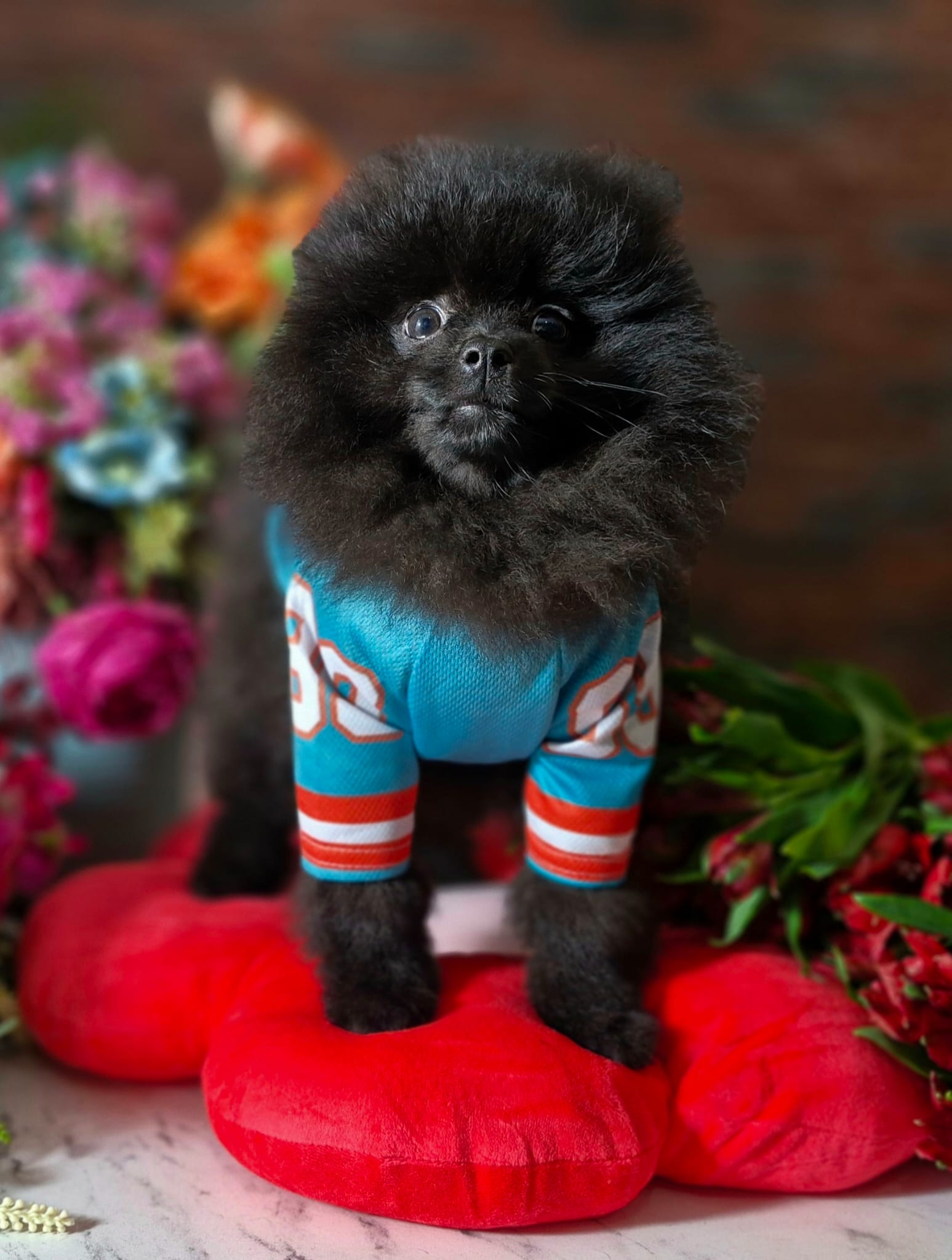 WhatsApp Image 2026-03-26 at 16.59.31 (4)