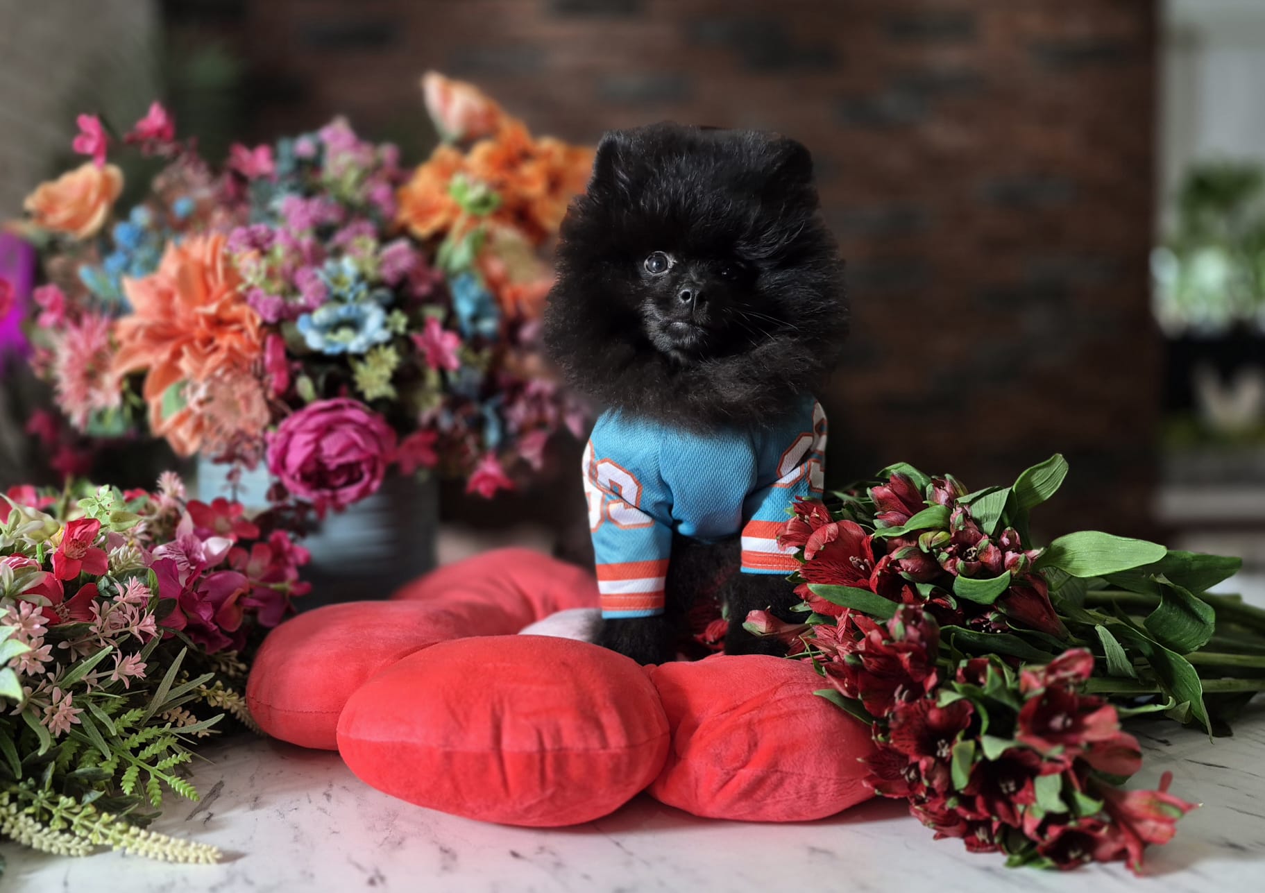 WhatsApp Image 2026-03-26 at 16.59.31 (5)